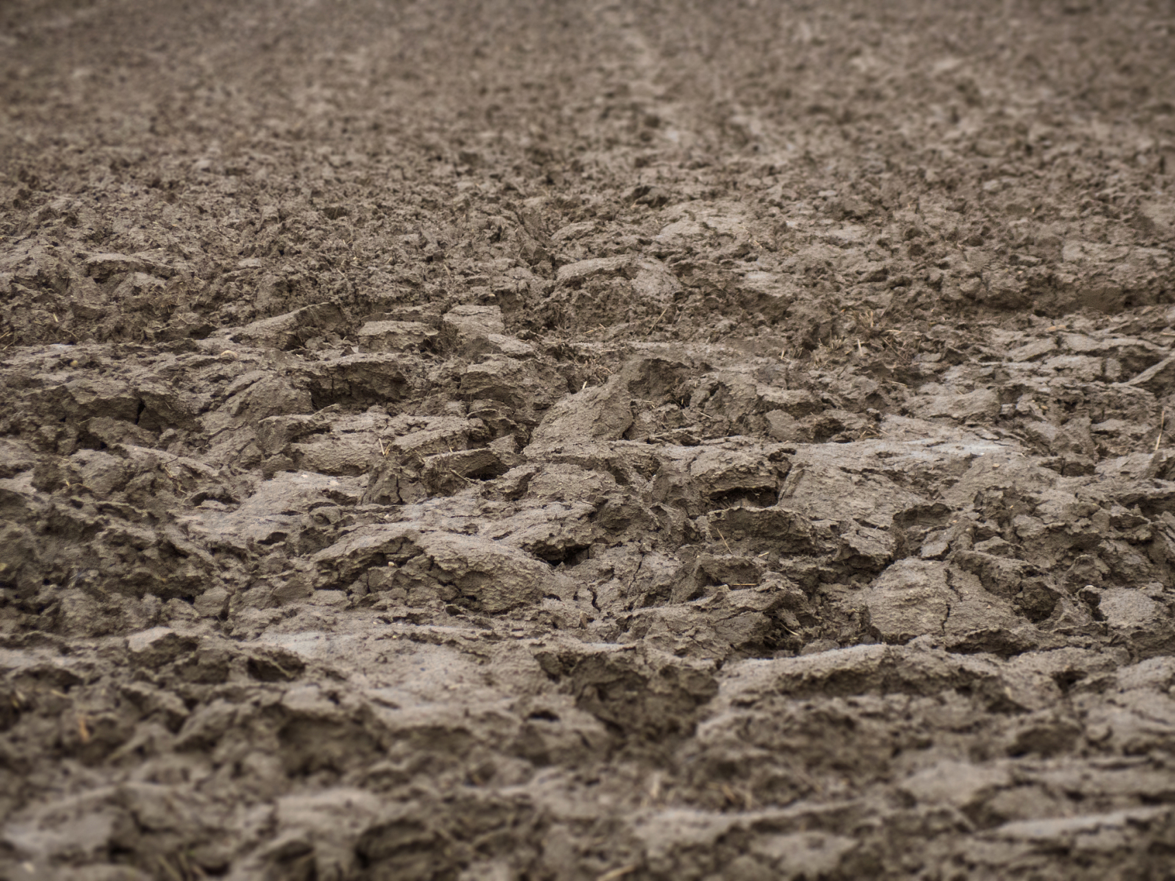 每日一题:软土具有