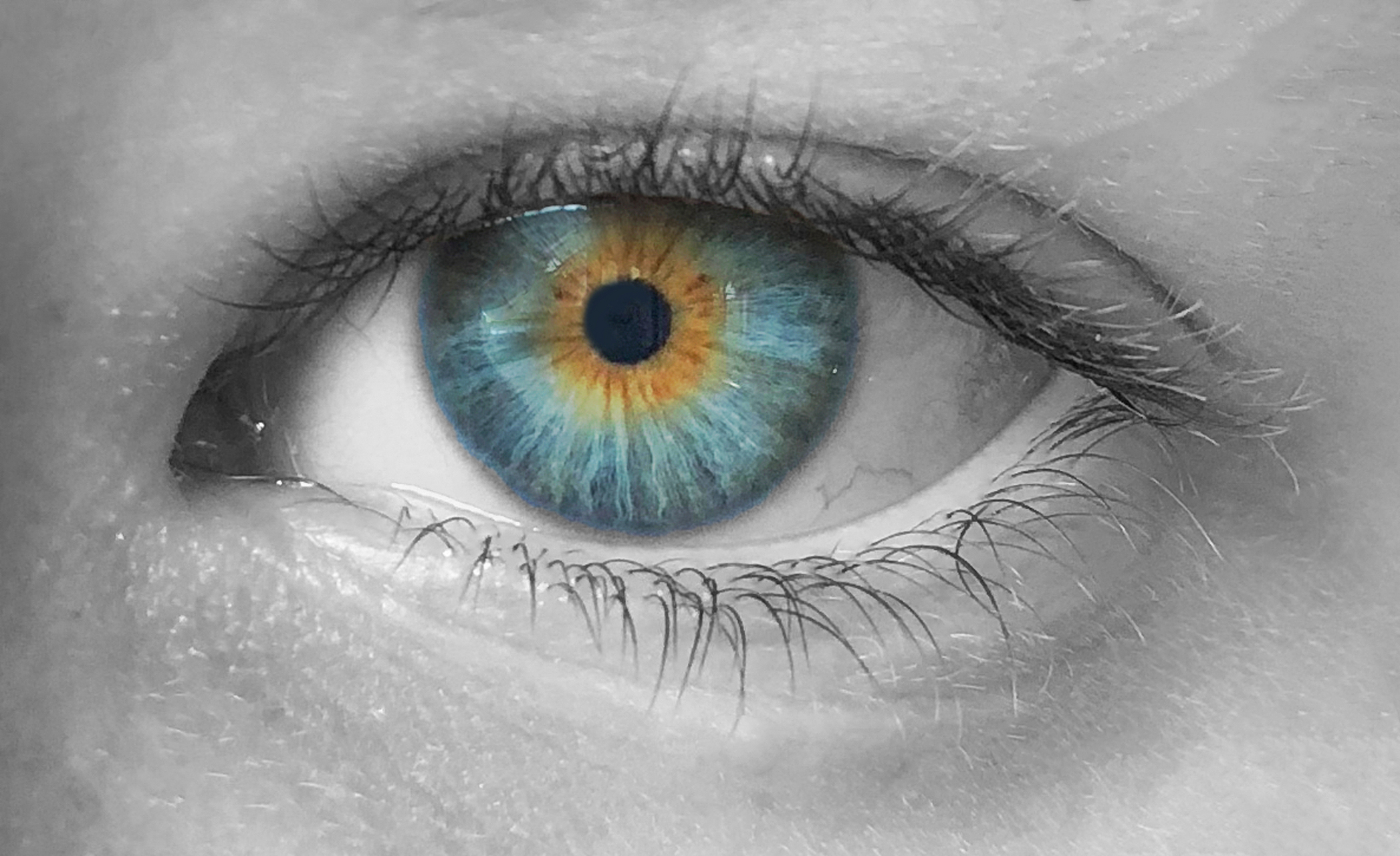 在死亡后的4到5分钟内,我们的瞳孔由于体内没有血压了,会开始放大且