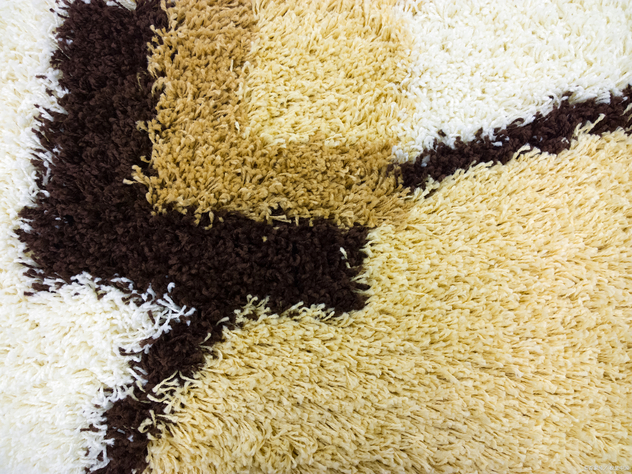 地毯不易打扫,时间长了,细菌,尘螨便会随着灰尘,食品碎屑的堆积在地毯