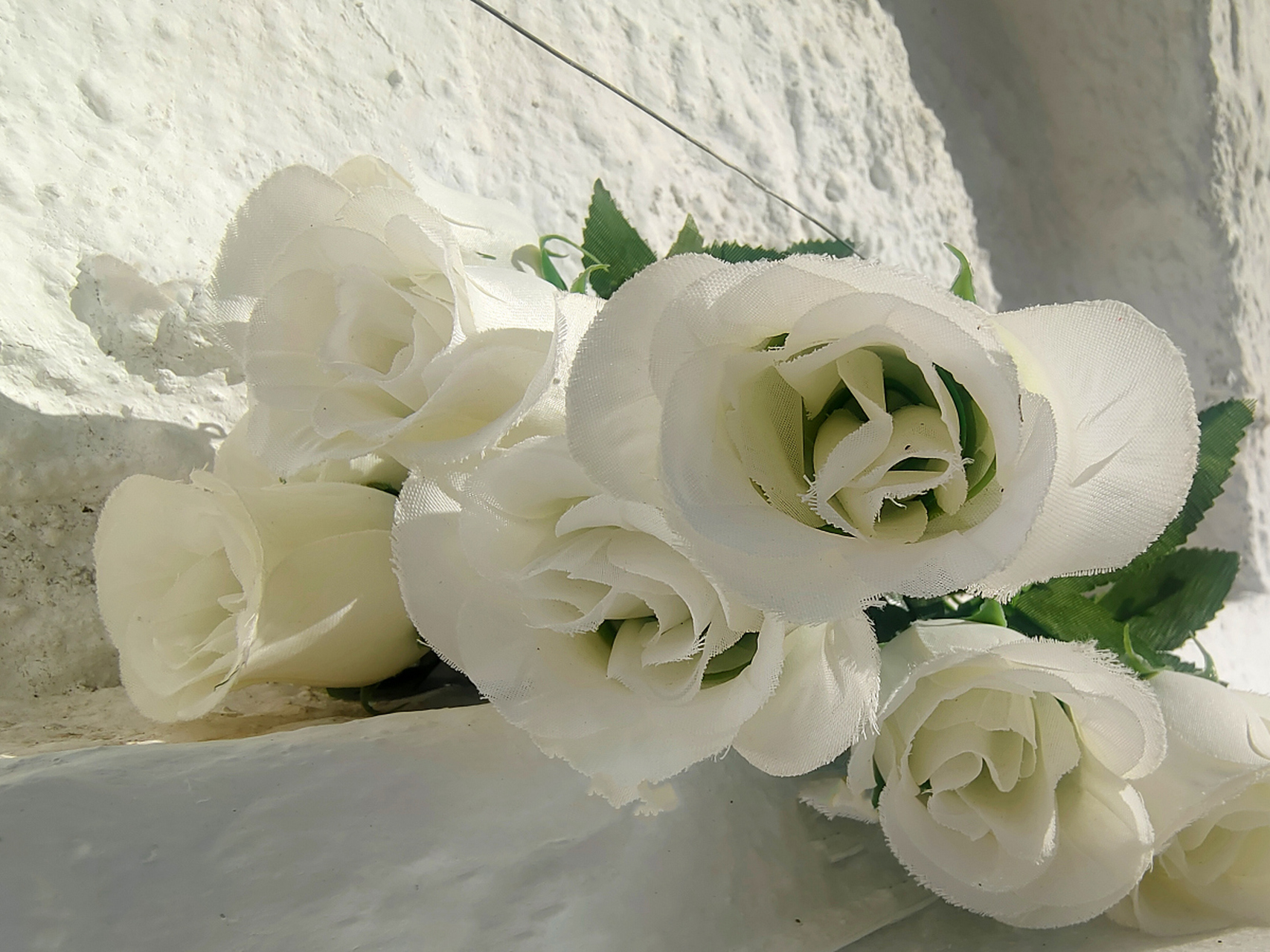 洋牡丹和洋桔梗是两种具有独特魅力的花卉.