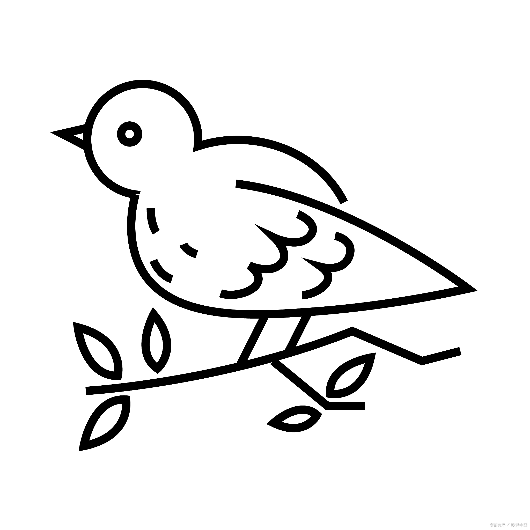 1 **从圆 小鸟简笔画鸟简笔画鸟的简笔画小鸟简笔画图片鸟怎么画简