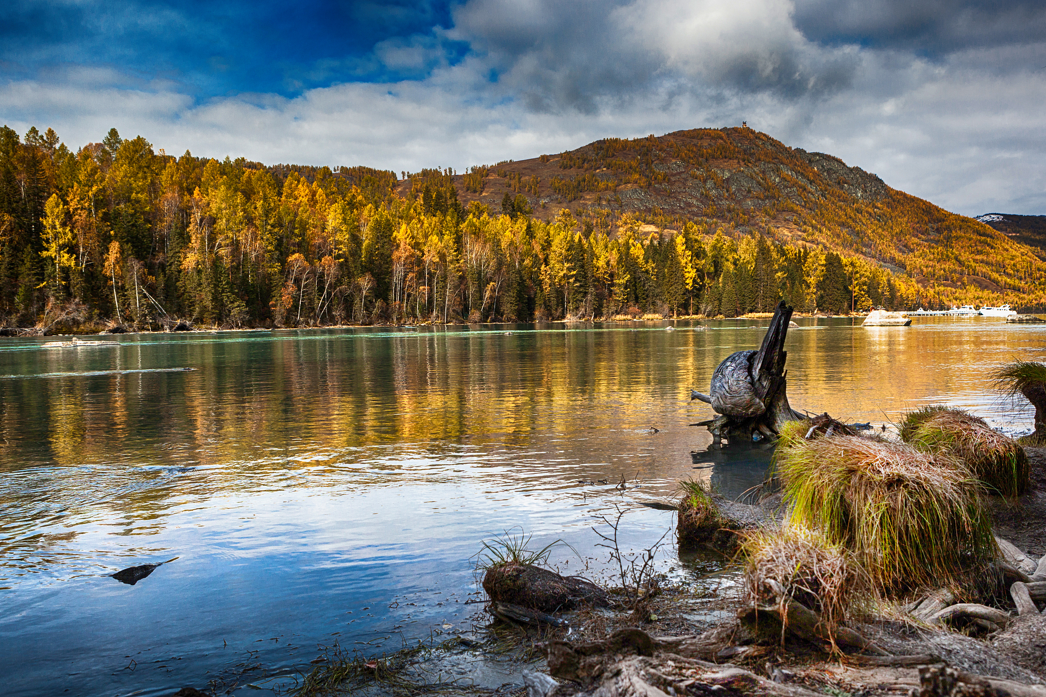 贝加尔湖秋天的魅力:湖畔树叶如金浪,水下巨鱼游动