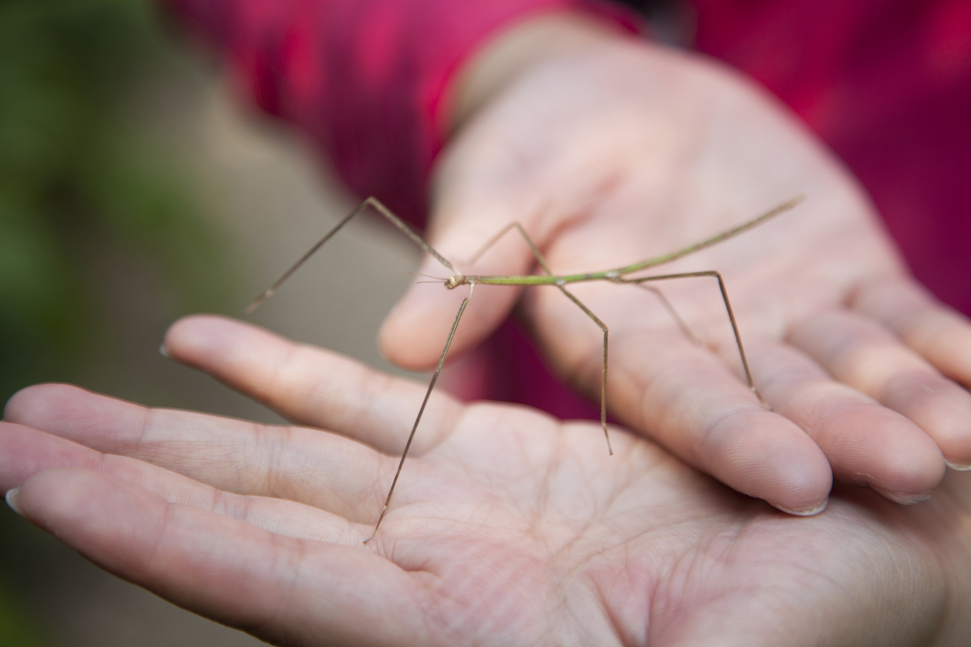焦虑症属于中医惊悸,脏躁,奔豚气等病症范畴.