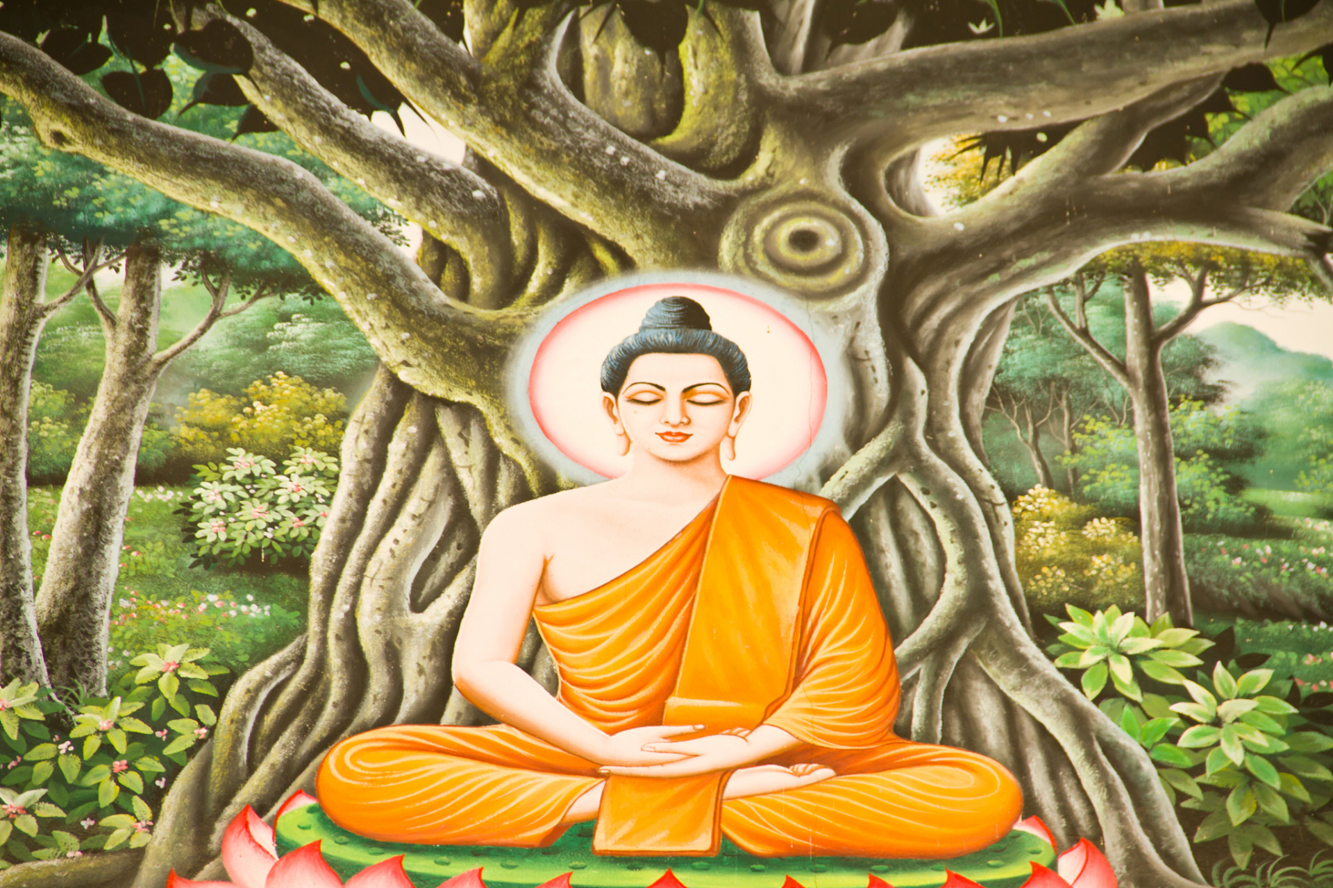 佛教创始人释迦牟尼,常被人们尊称为佛陀,即觉者