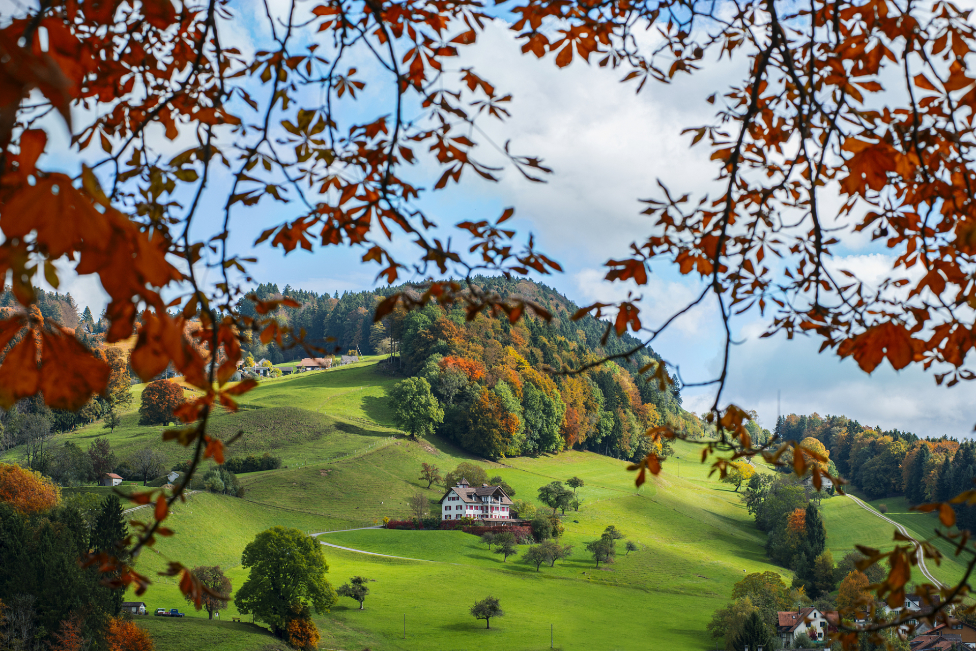 瑞士的田园风光,就像童话里的秋天一样美妙.[亲吻] #瑞士# #瑞士旅游