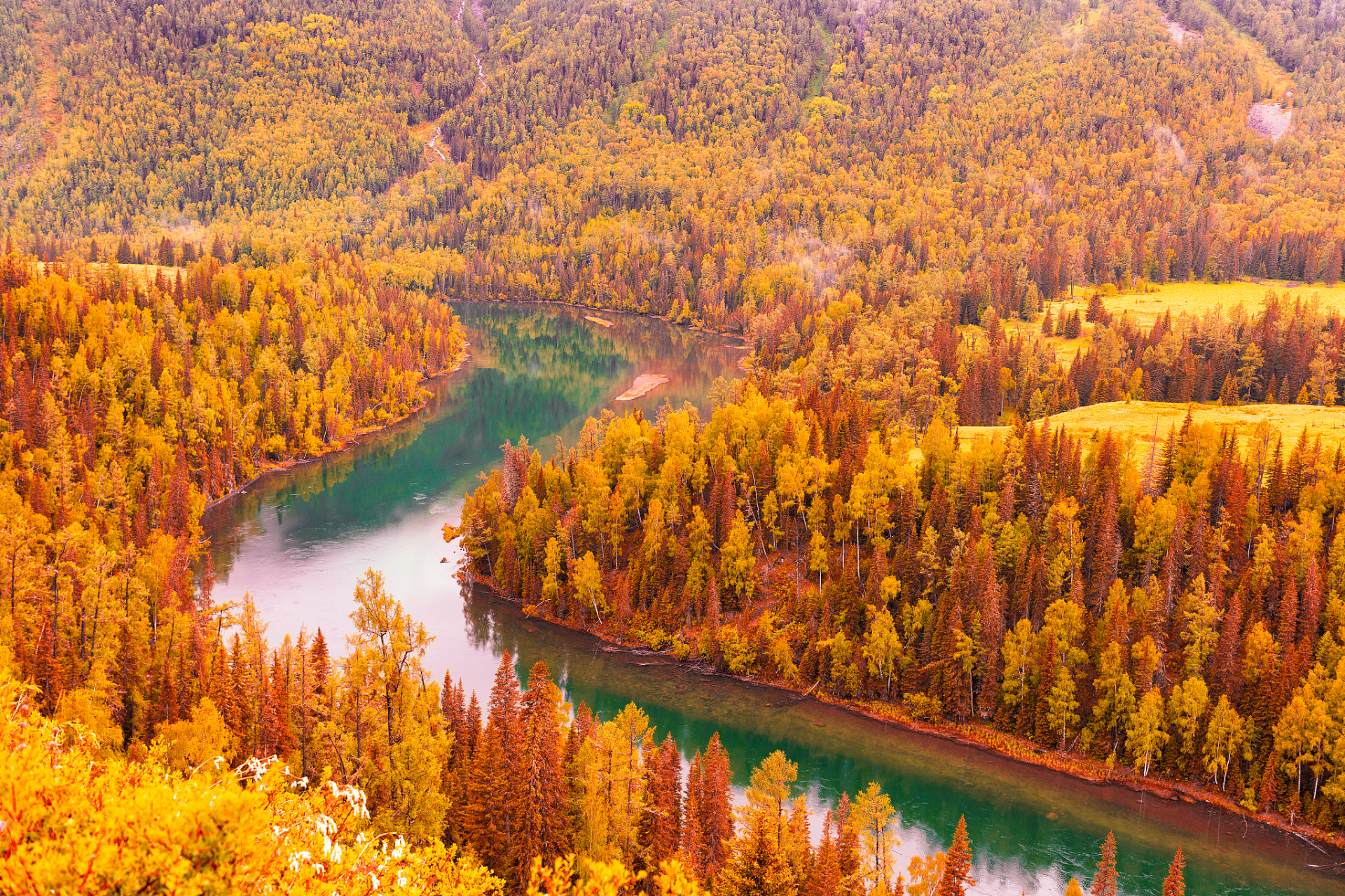 九月动态激励计划# 人间仙境喀纳斯,秋景的颜值担当 喀纳斯位于薪疆