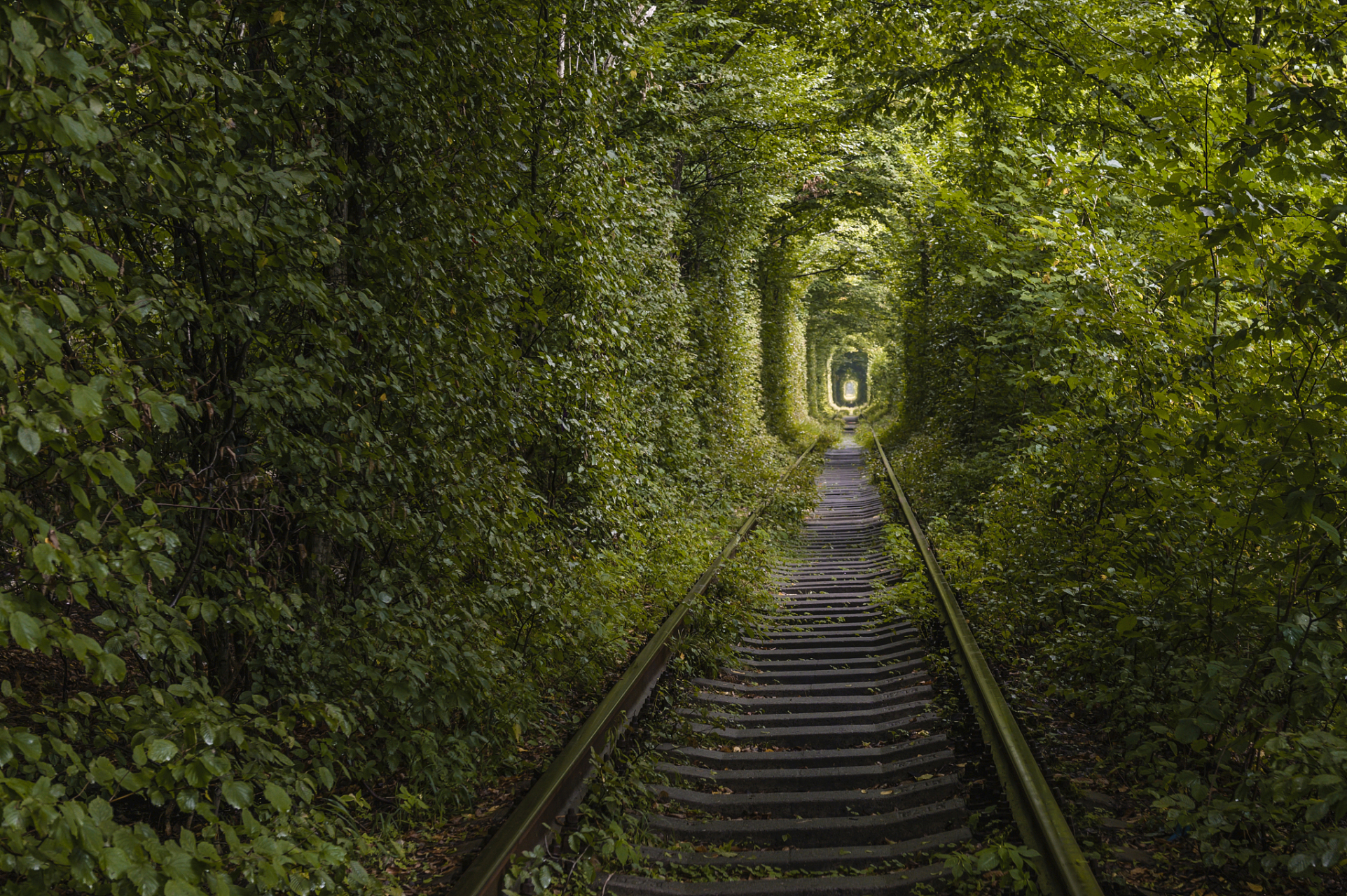 爱情隧道 乌克兰图片