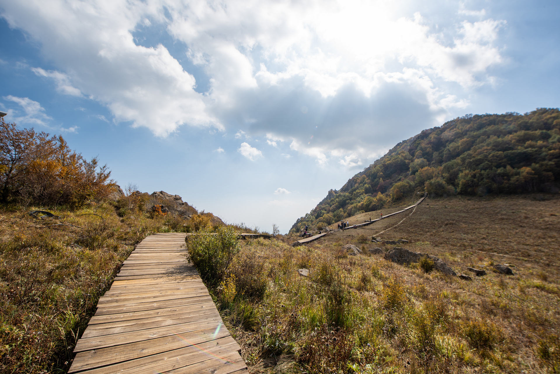 紫柏山风景区就像一片瑰宝,藏在陕西省汉中市留坝县境内.该地区面积达