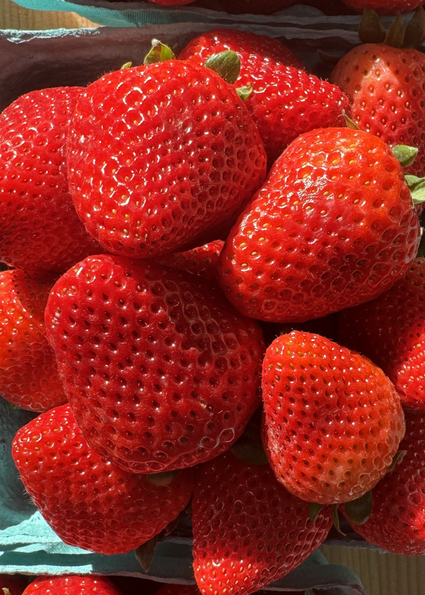 新鲜的草莓这样做,酸甜可口,香醇浓郁,用途广泛!