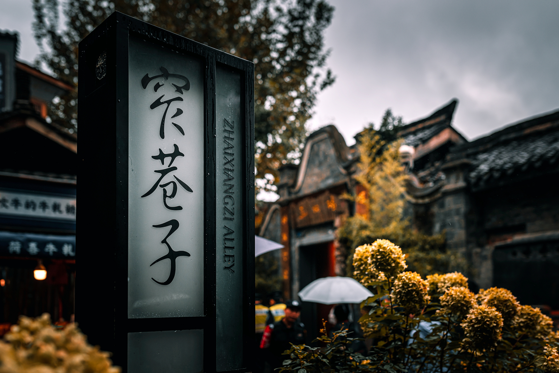 宽窄巷子位于四川省成都市青羊区长顺街附近,由宽巷子,窄巷子,井巷子