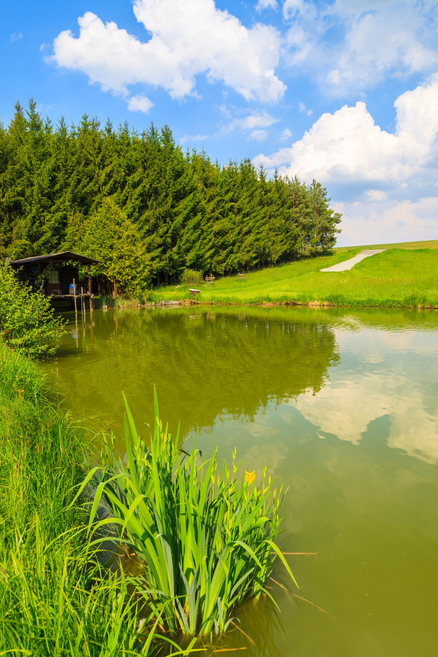 鄱阳湖风景图片高清图片