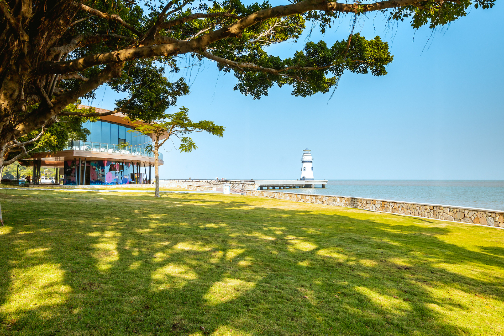 春风拂面,深圳湾公园海滨春色盎然.