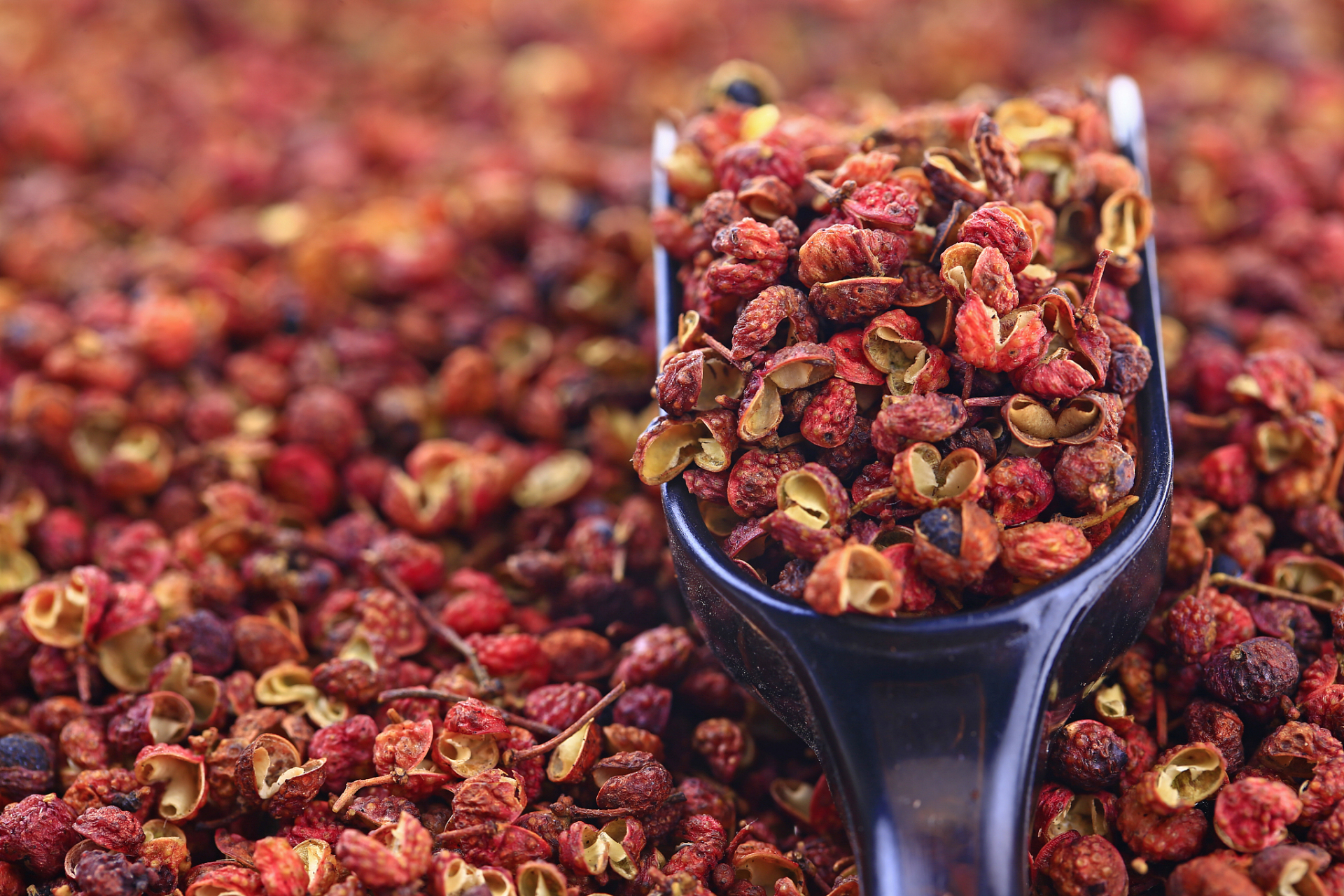 制裁过的陕西富平大红袍花椒,香气足足可以持续到第二天早上,整个厨房