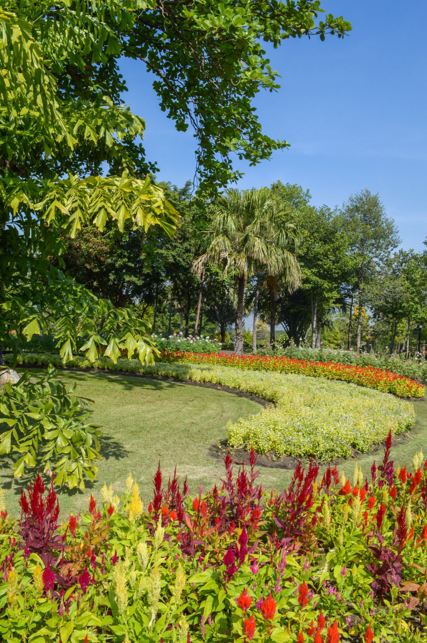 兰州植物园,五一"赏花游"好去处 兰州植物园是一个景色宜人的好去处