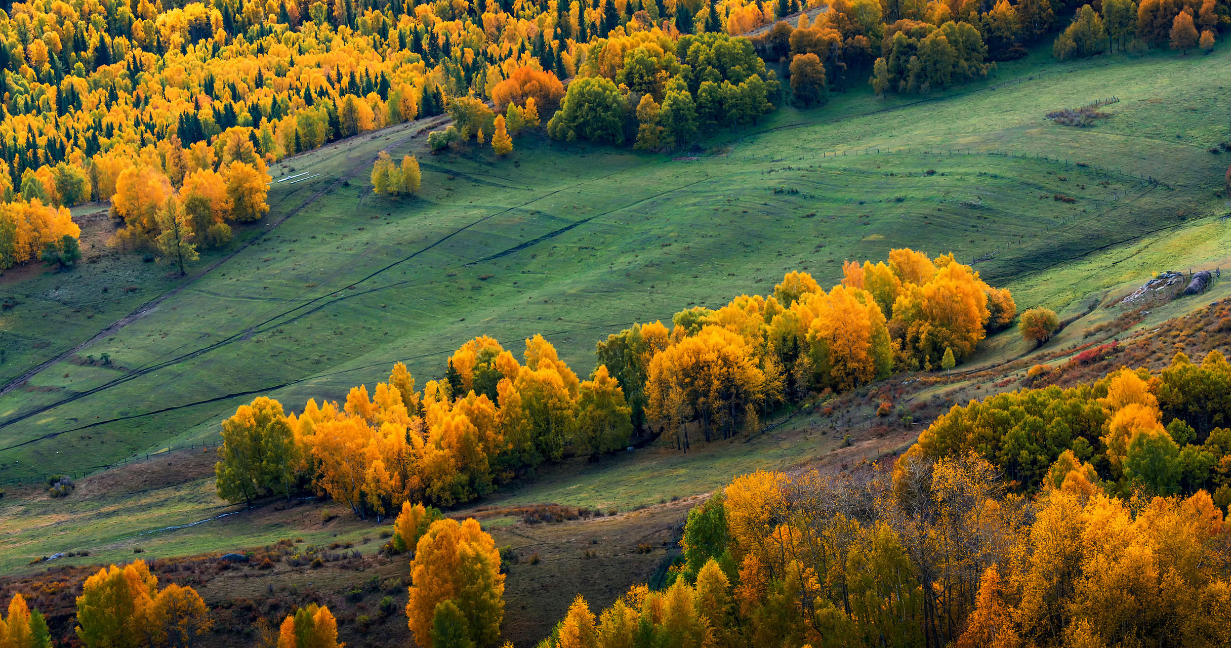 阿勒泰是一个美丽而危险的地方,但唐果选择留在那里,因为那里是他的家