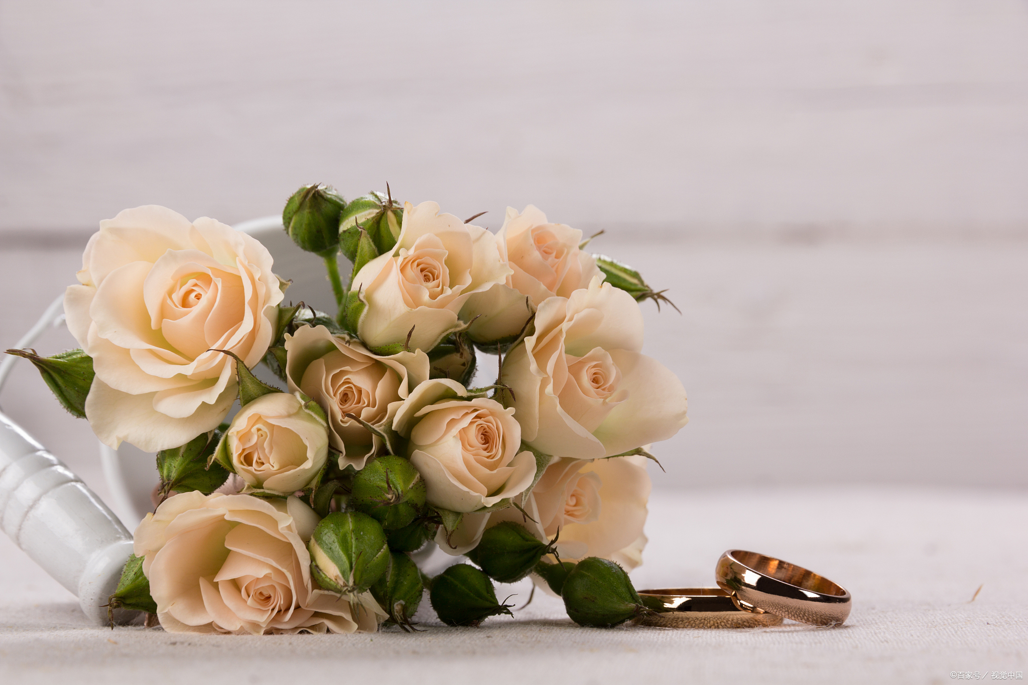 香槟玫瑰花适合送的人有哪些以及香槟玫瑰花代表的意义