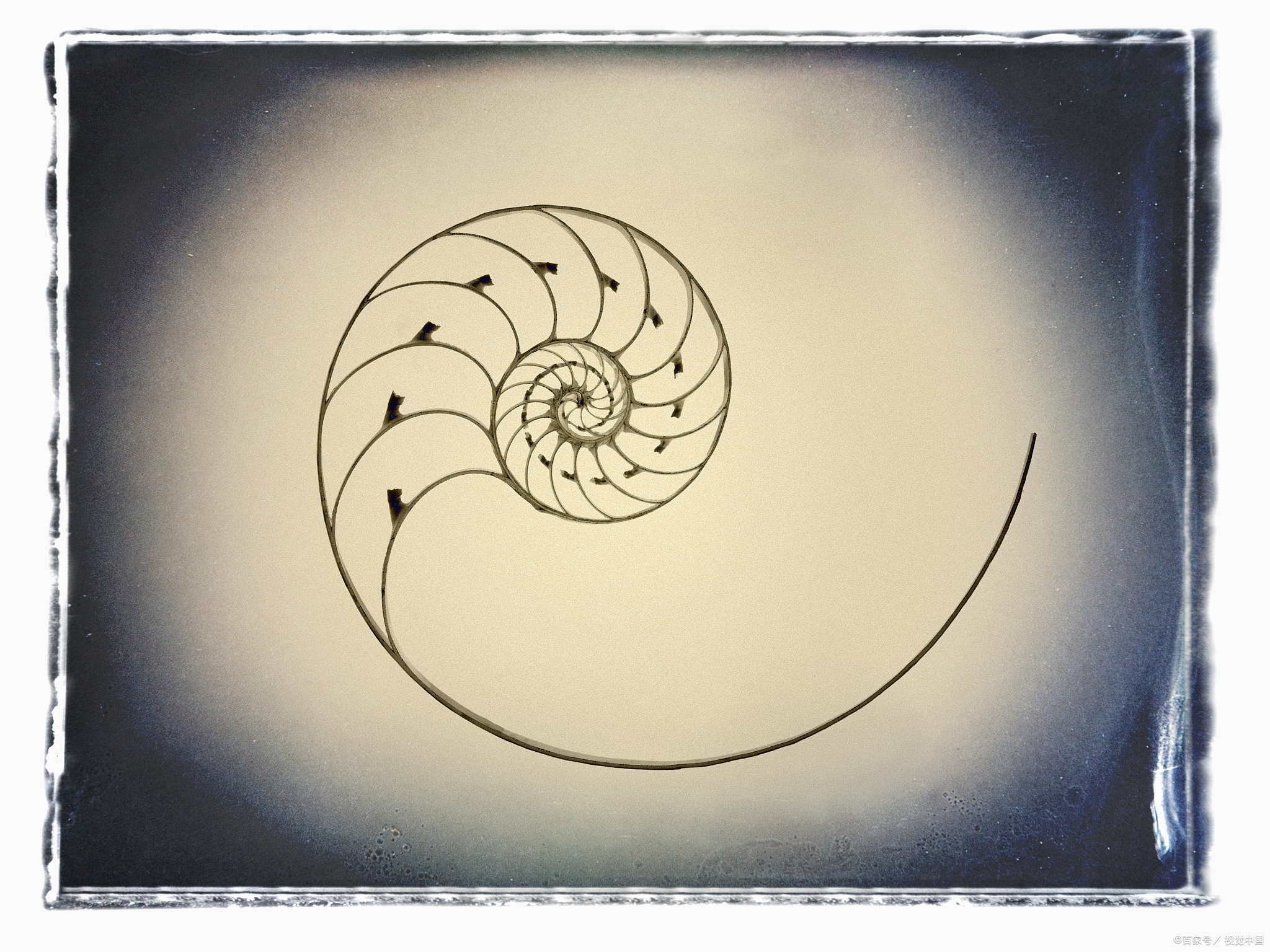 斐波那契数列,一个令人着迷而又充满神秘色彩的数字序列,它以1和1作为