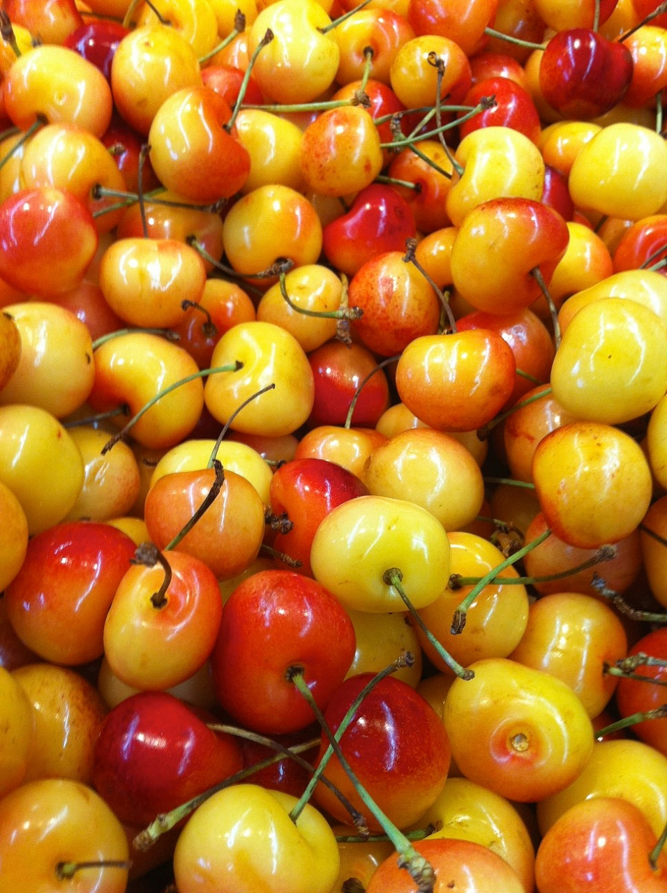 金车厘子"身价"暴涨 300 多元一斤,女性最喜欢的水果  金车厘子,一种