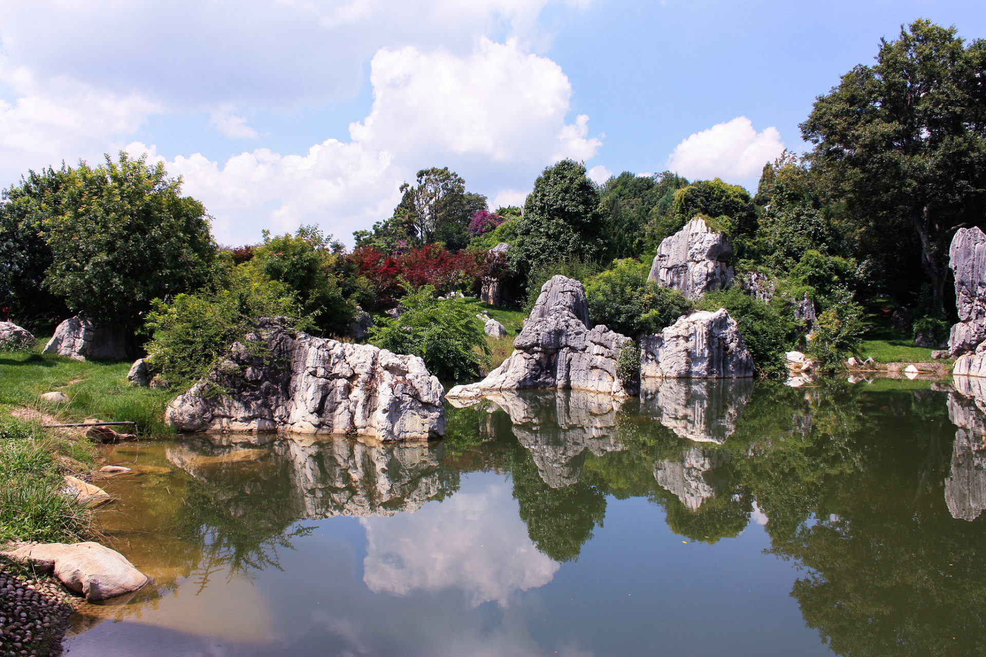 广西绿意,汇聚于柳州龙潭公园.