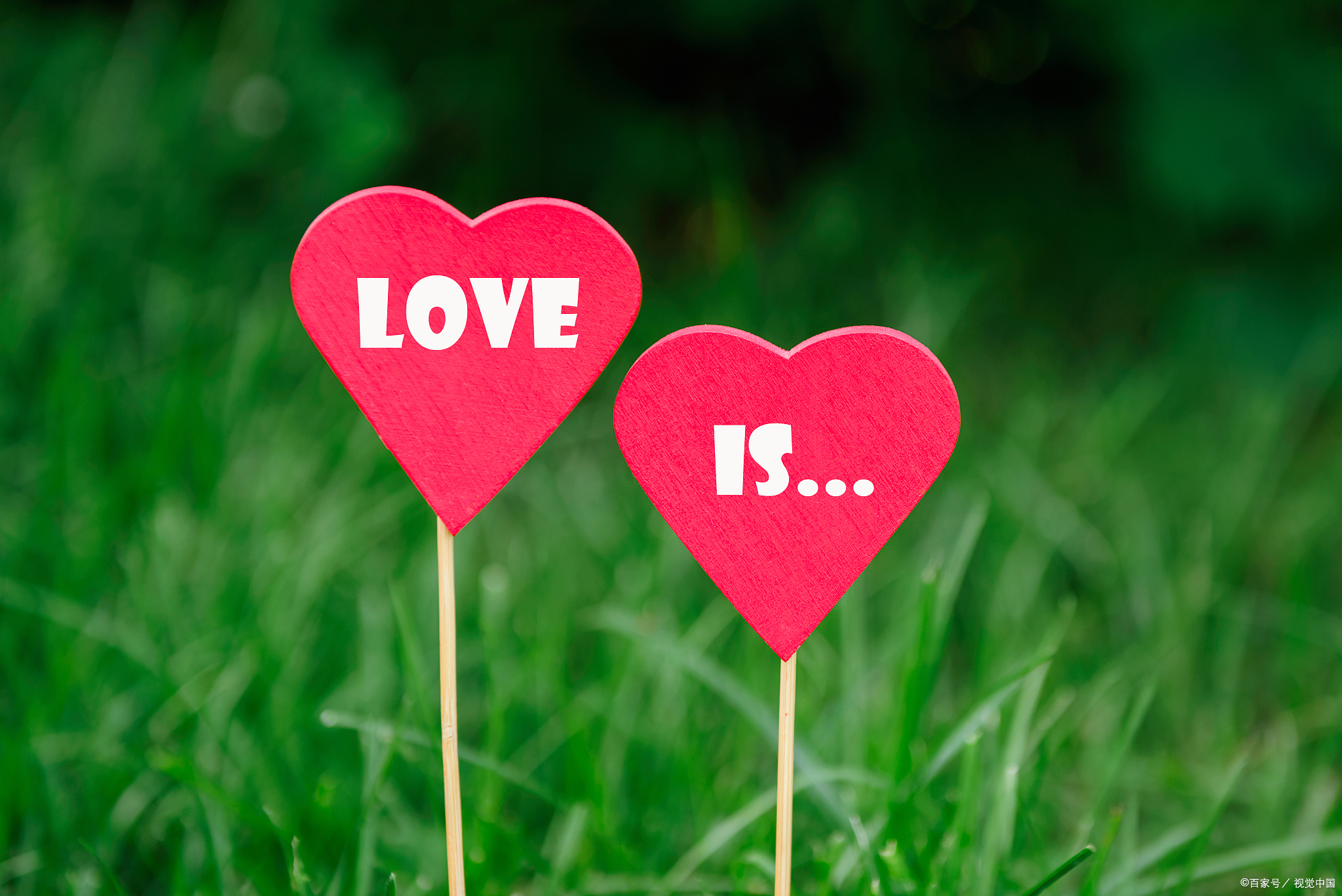 为什么有些人明明知道要爱自己,却仍然做不到呢?