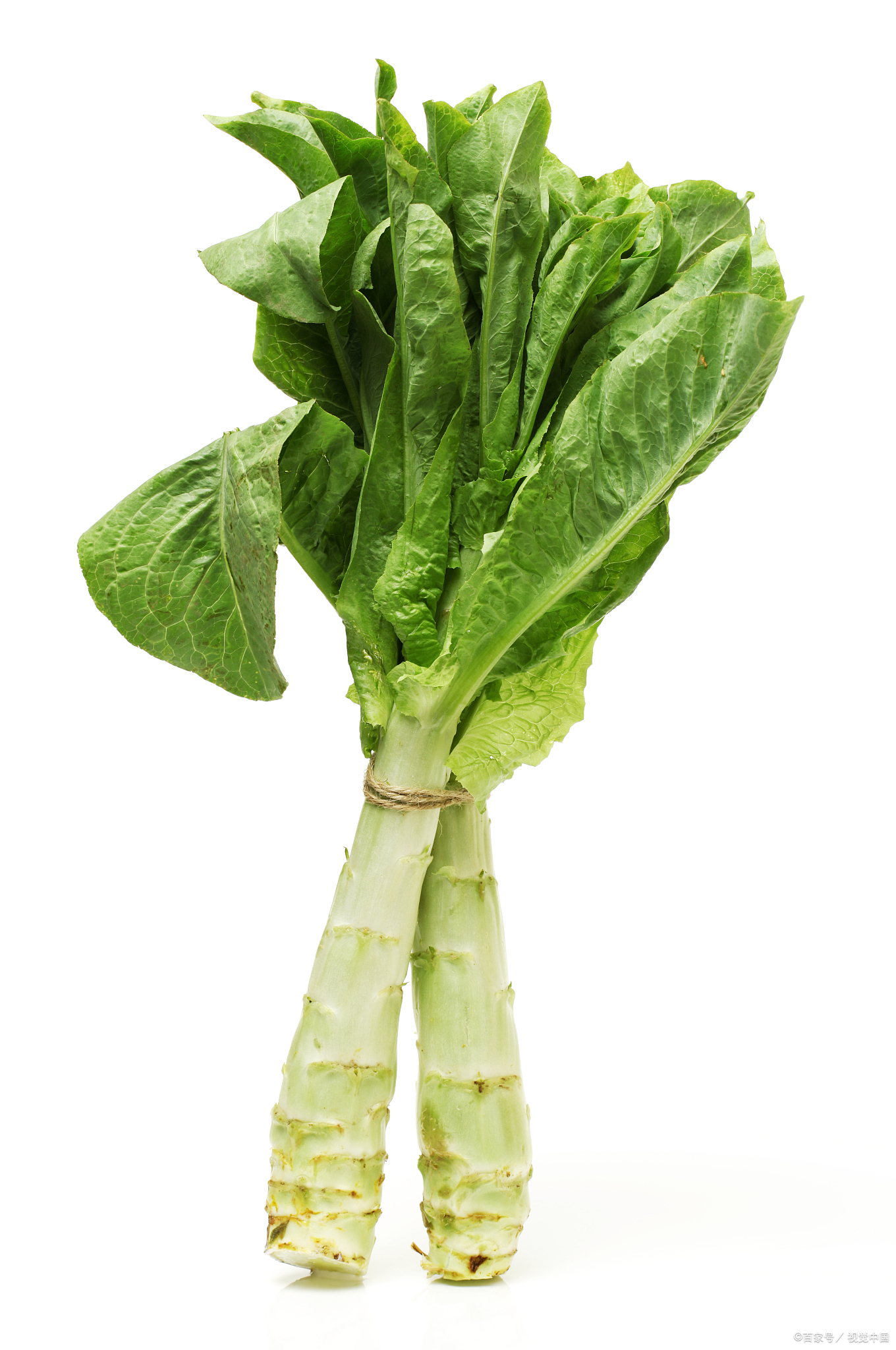 莴笋保鲜秘籍:让绿色蔬菜持久保鲜的五大妙招!