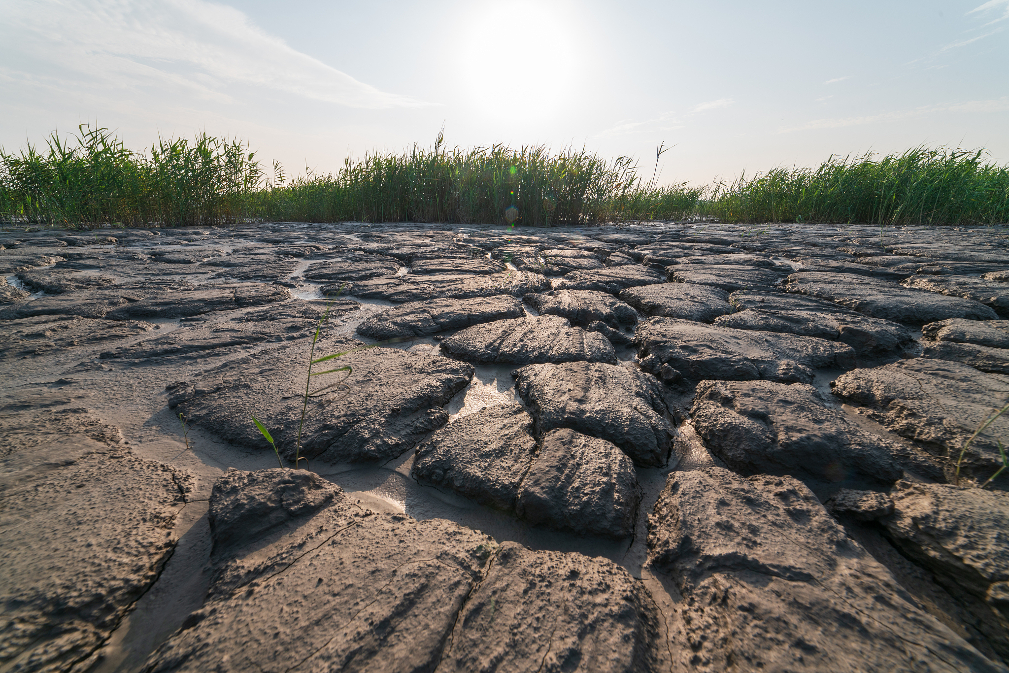 这不仅是对人体的严峻考验,更引发了人们对生态环境的深切担忧