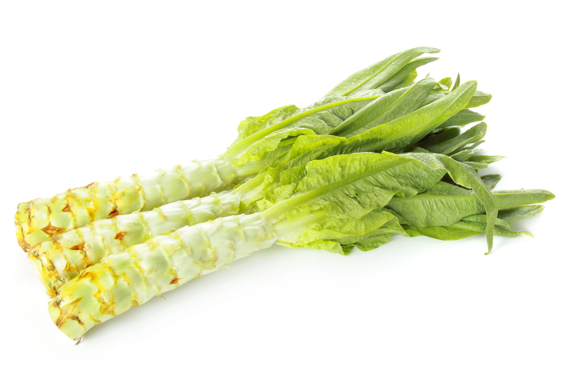 苦味菜:比如苦瓜,苦菜,莴笋,芹菜,莲子芯,百合,蒲公英等.