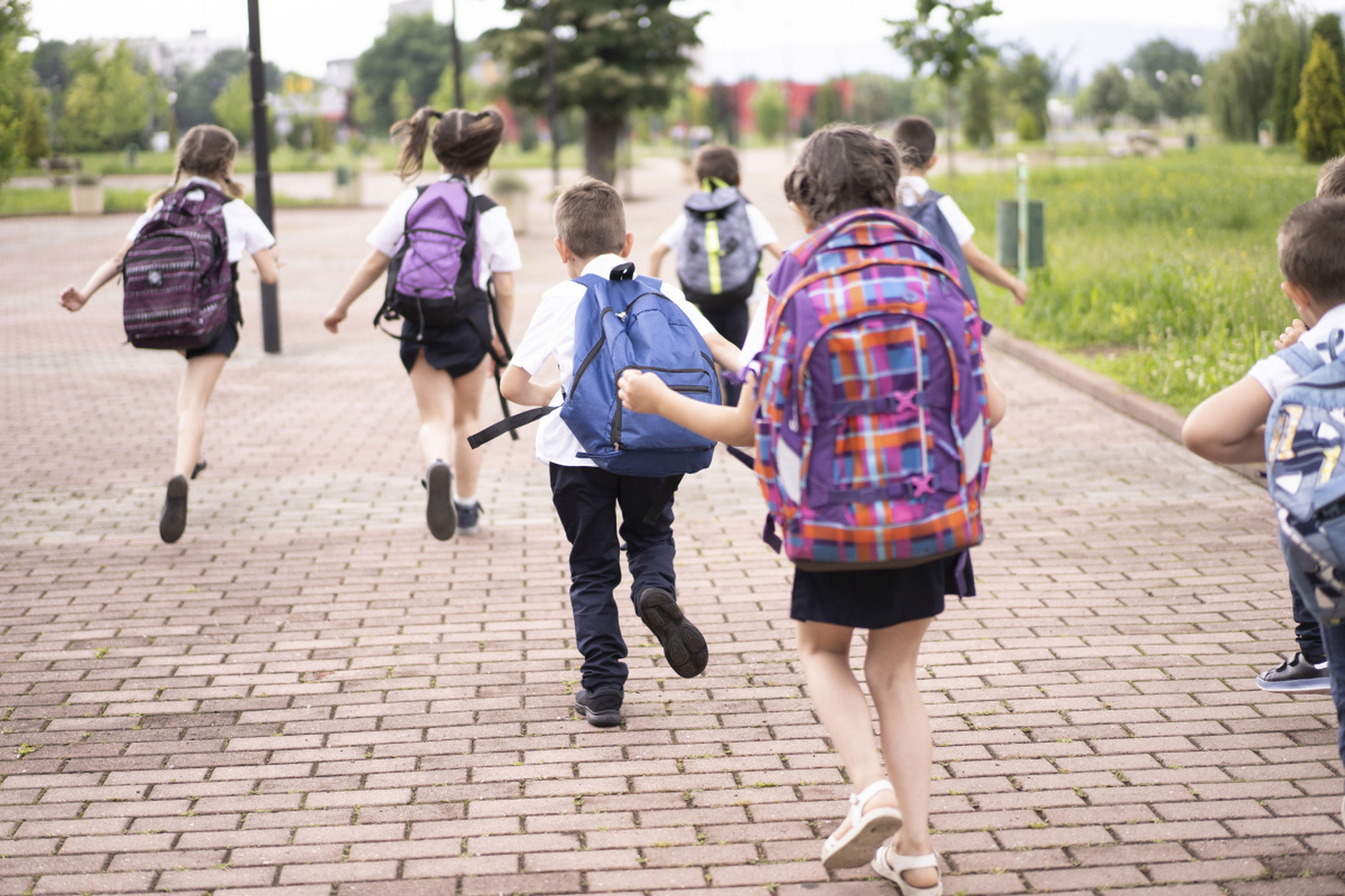 开学时,当我们站在校门口,目送孩子们背着书包渐行渐远的背影,在秋日