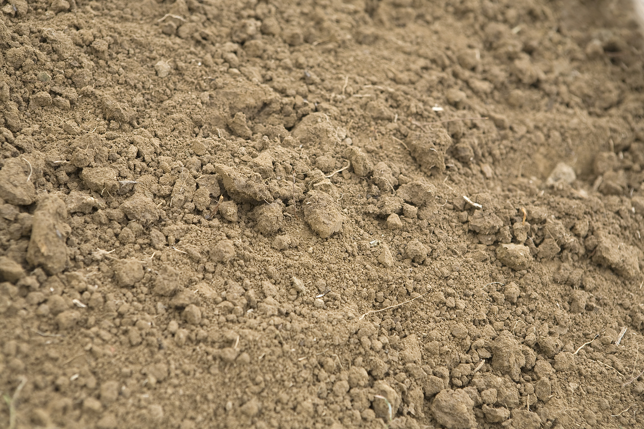 乐乐因父母争吵变得内向,竟开始吃土!