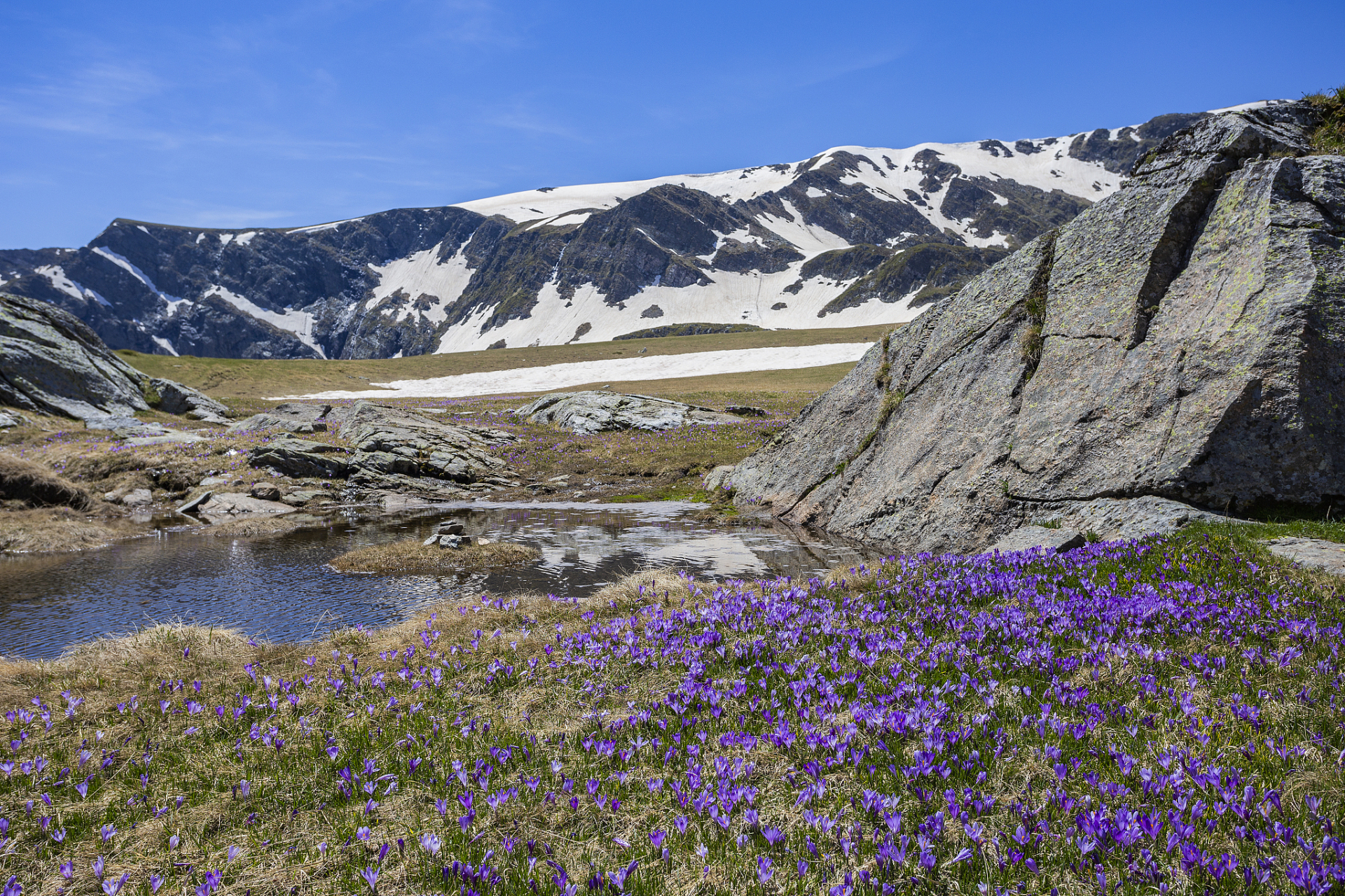 奇遇那拉提#新疆那拉提雪莲谷景区位于新疆维吾尔自治区喀什地区邓
