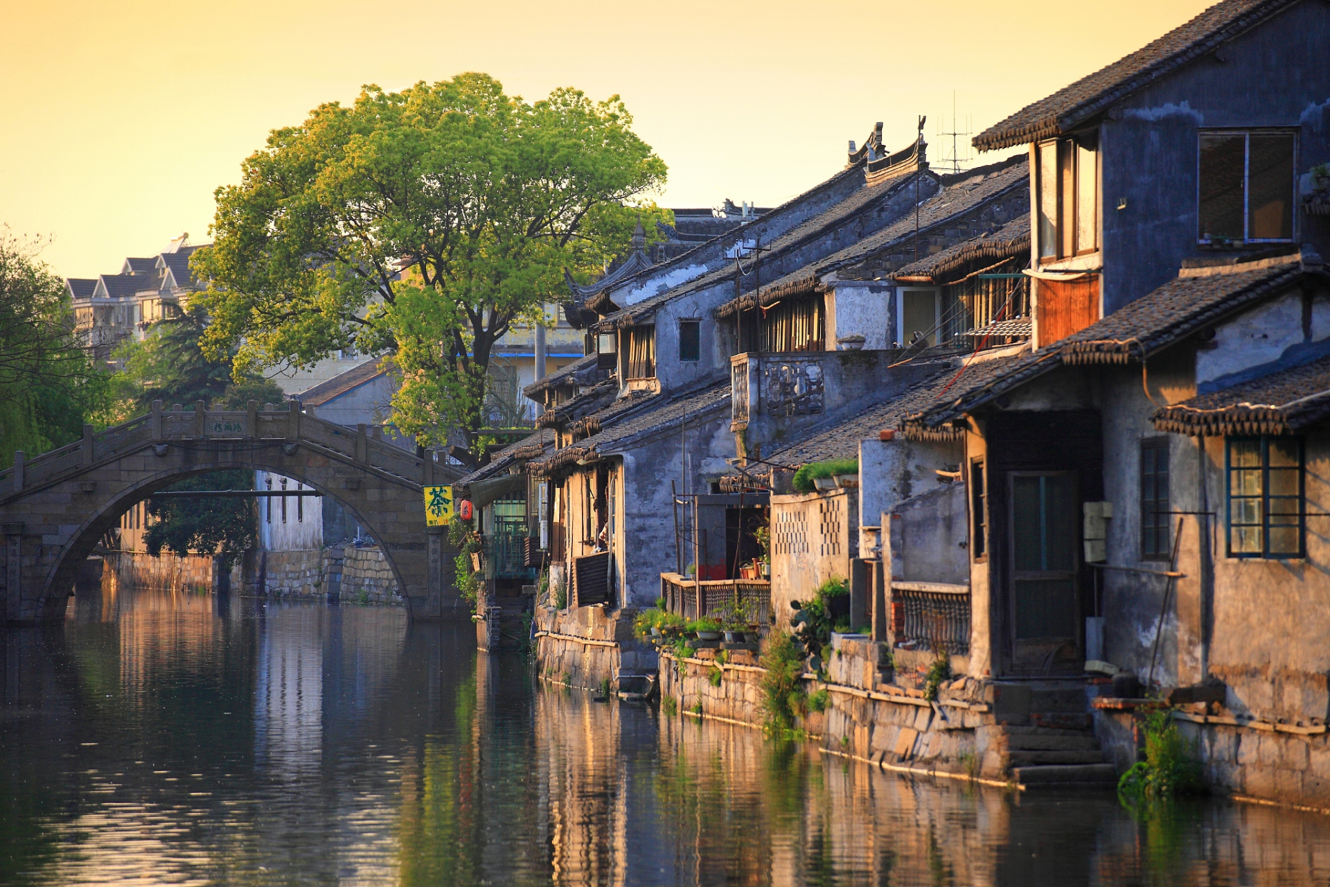 乌镇旅游图片真实图片