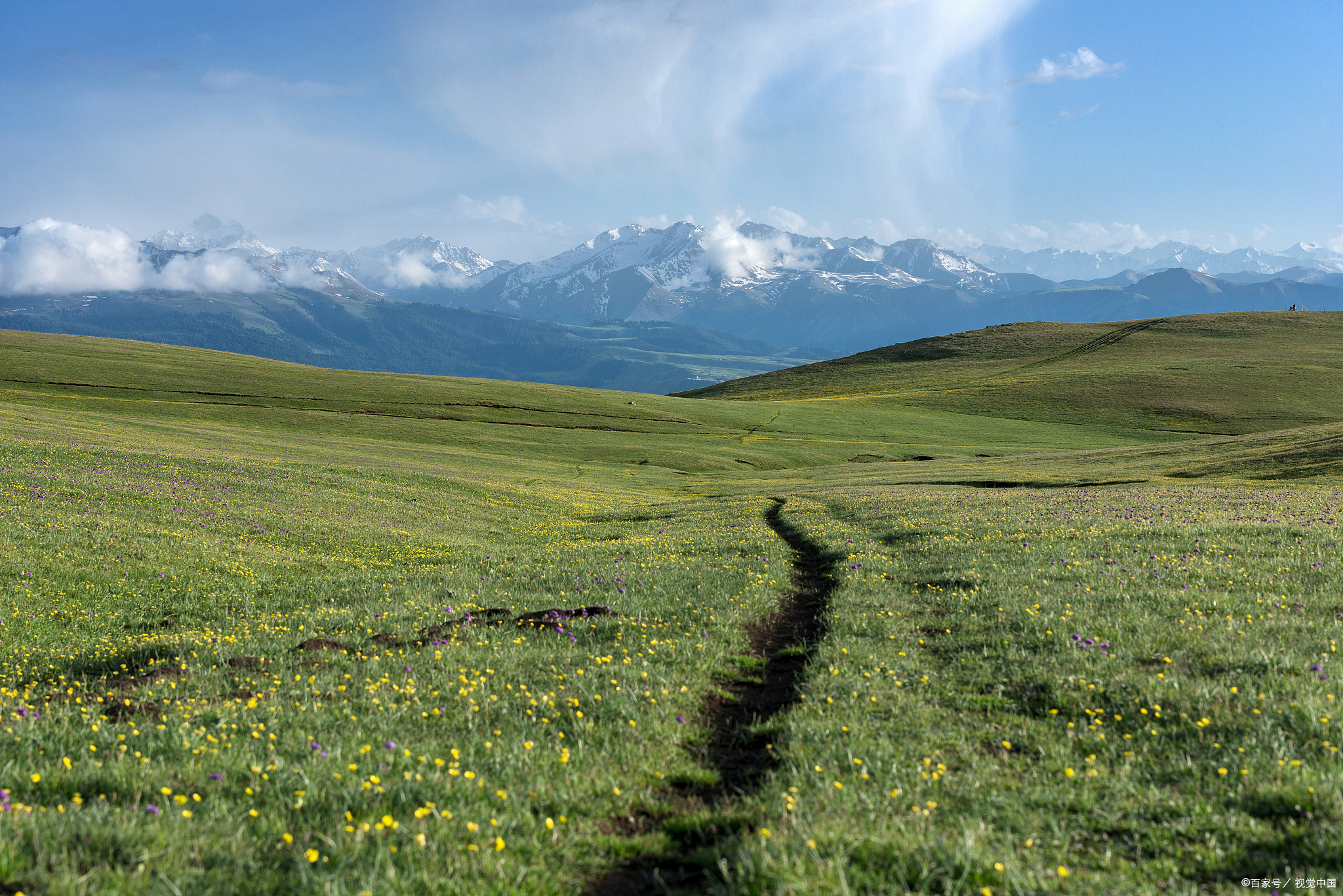 伊犁位于新疆维吾尔自治区,以其壮丽的自然景观而著名