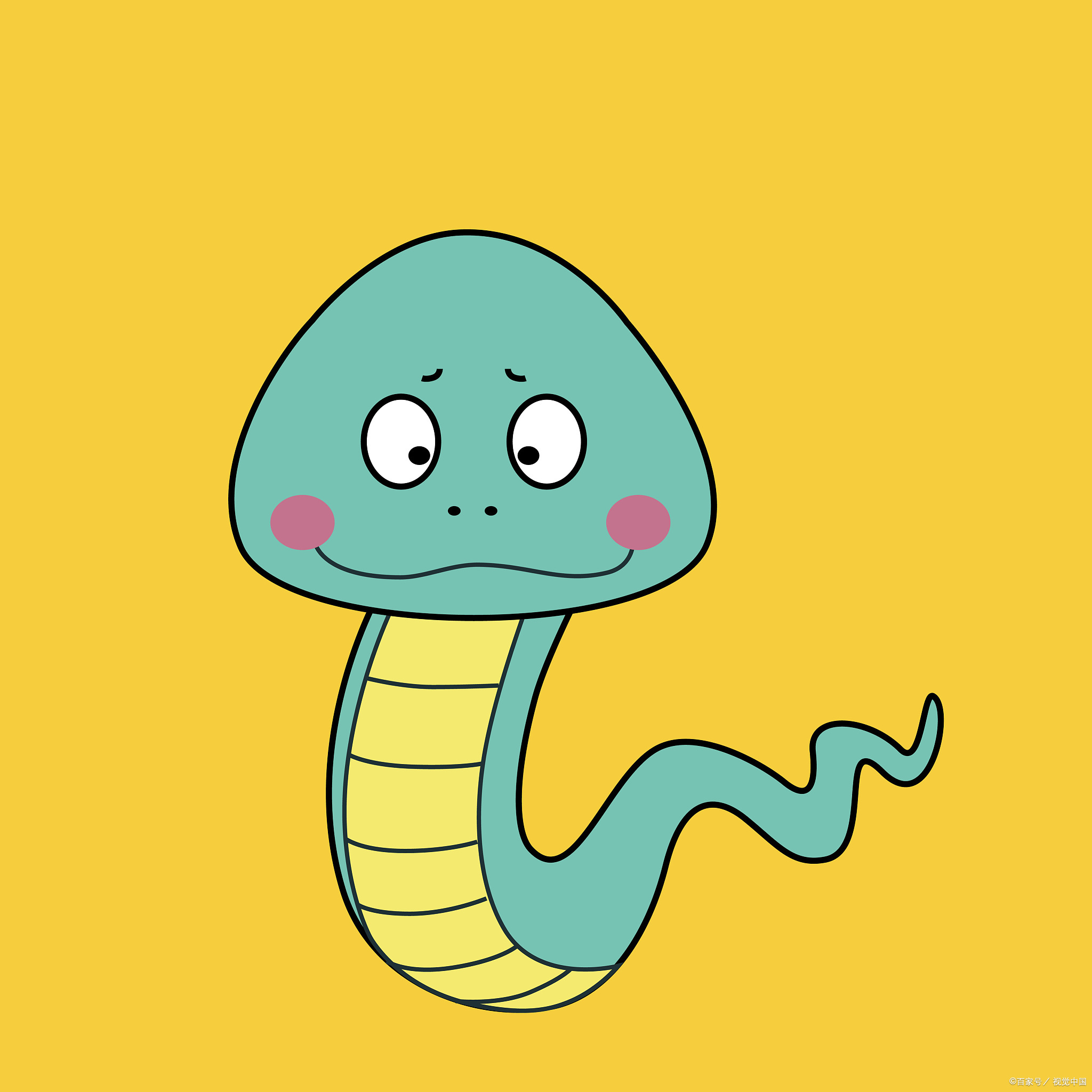 2002年属蛇的生肖运势(2002年属蛇吗)