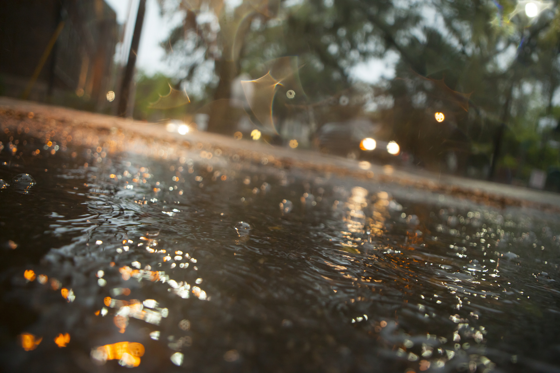 雨后图片图片