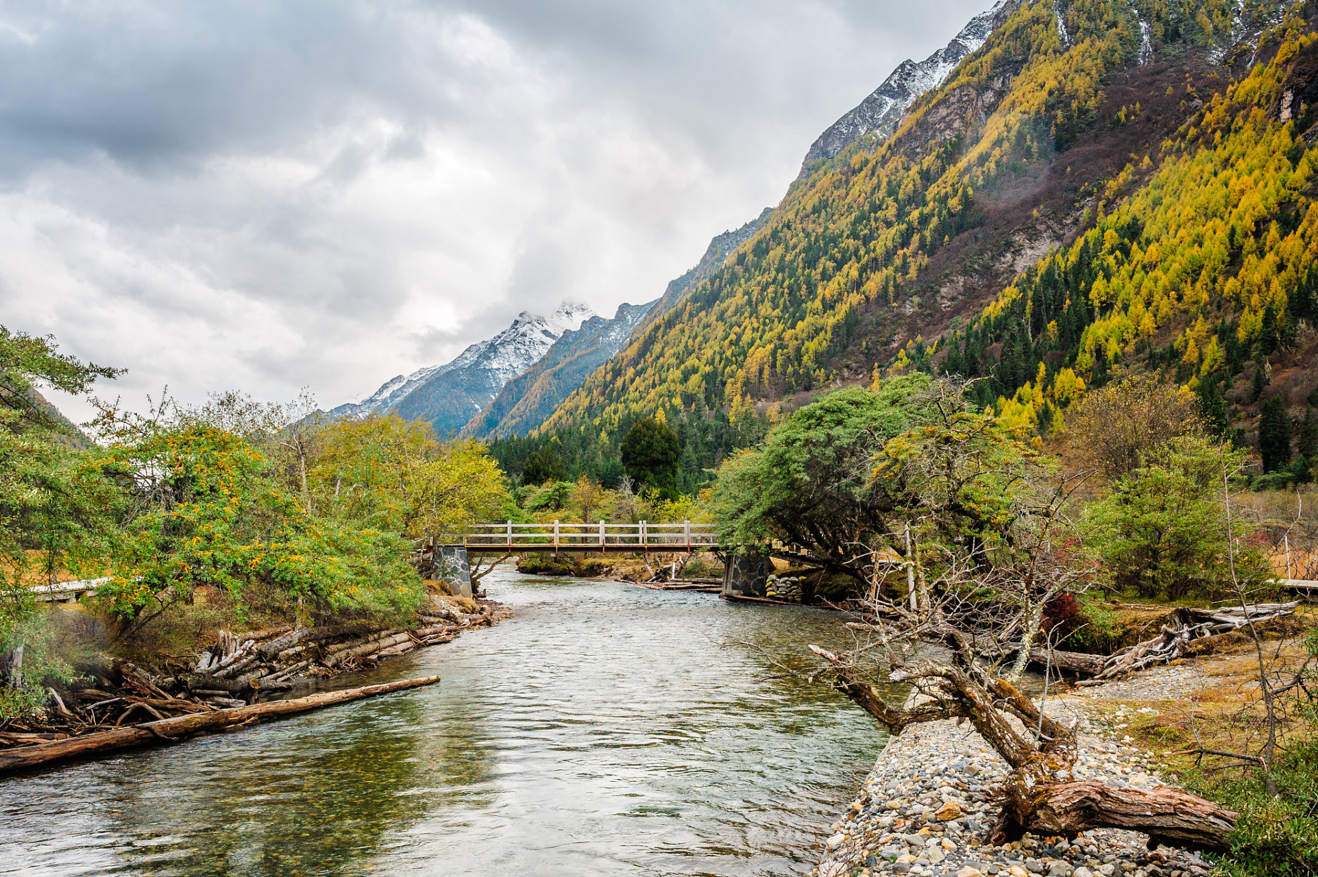 位于岷山山脉与邛崃山脉交汇处的黑水县麦扎乡境内,海拔2400米-4100米