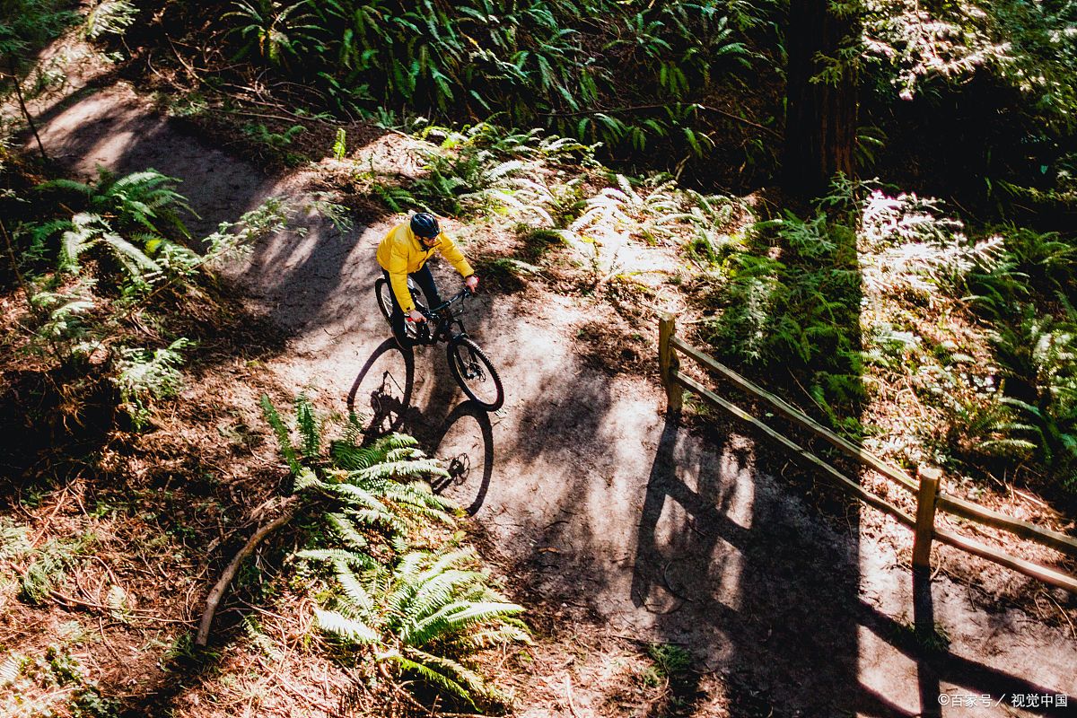 仪陇立山山地车,林道越野颠簸刺激,冒险运动超刺激!