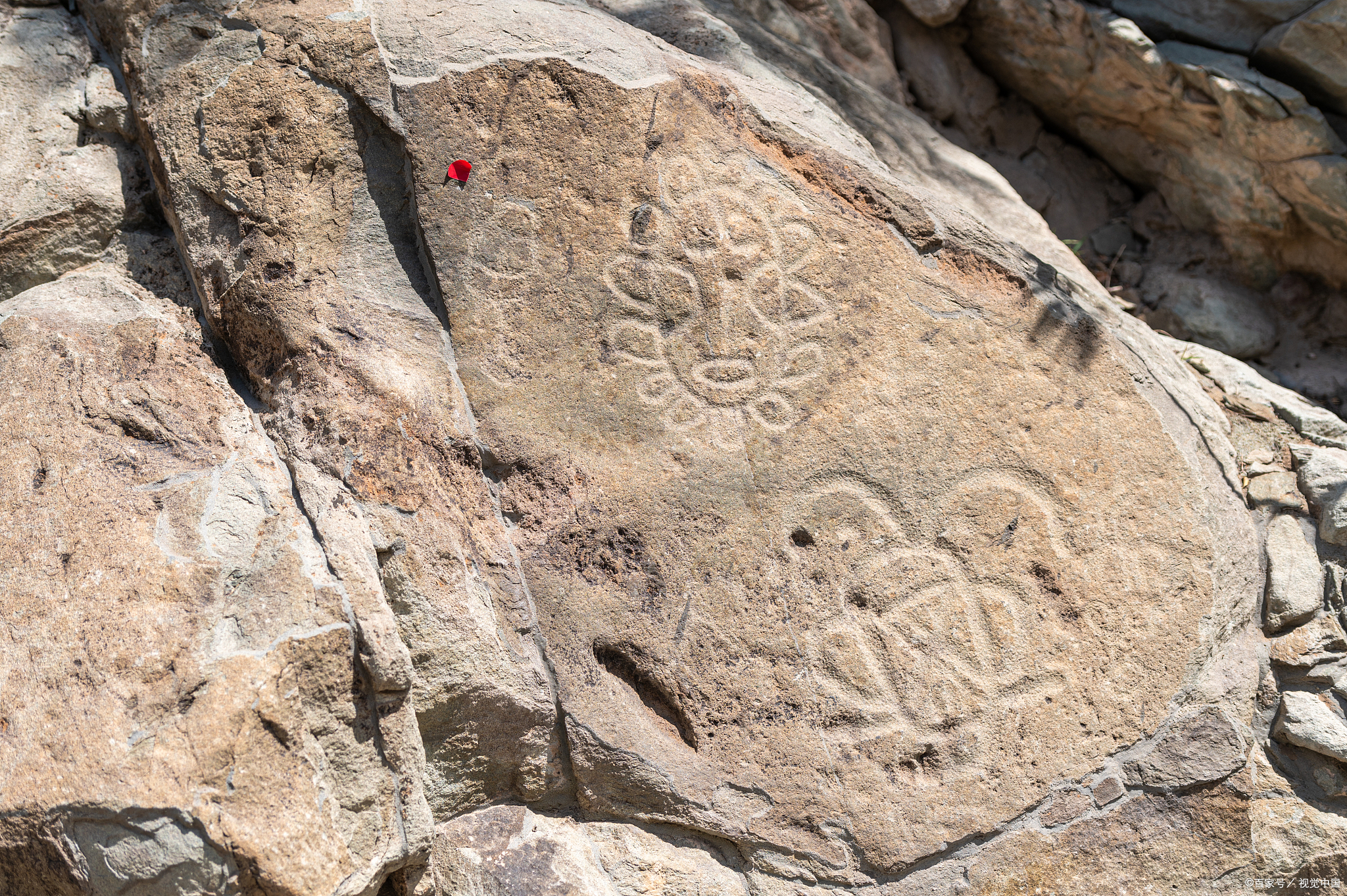 探访宁夏贺兰山岩画,品味银川风情,尽享内蒙古牛肉干五日游