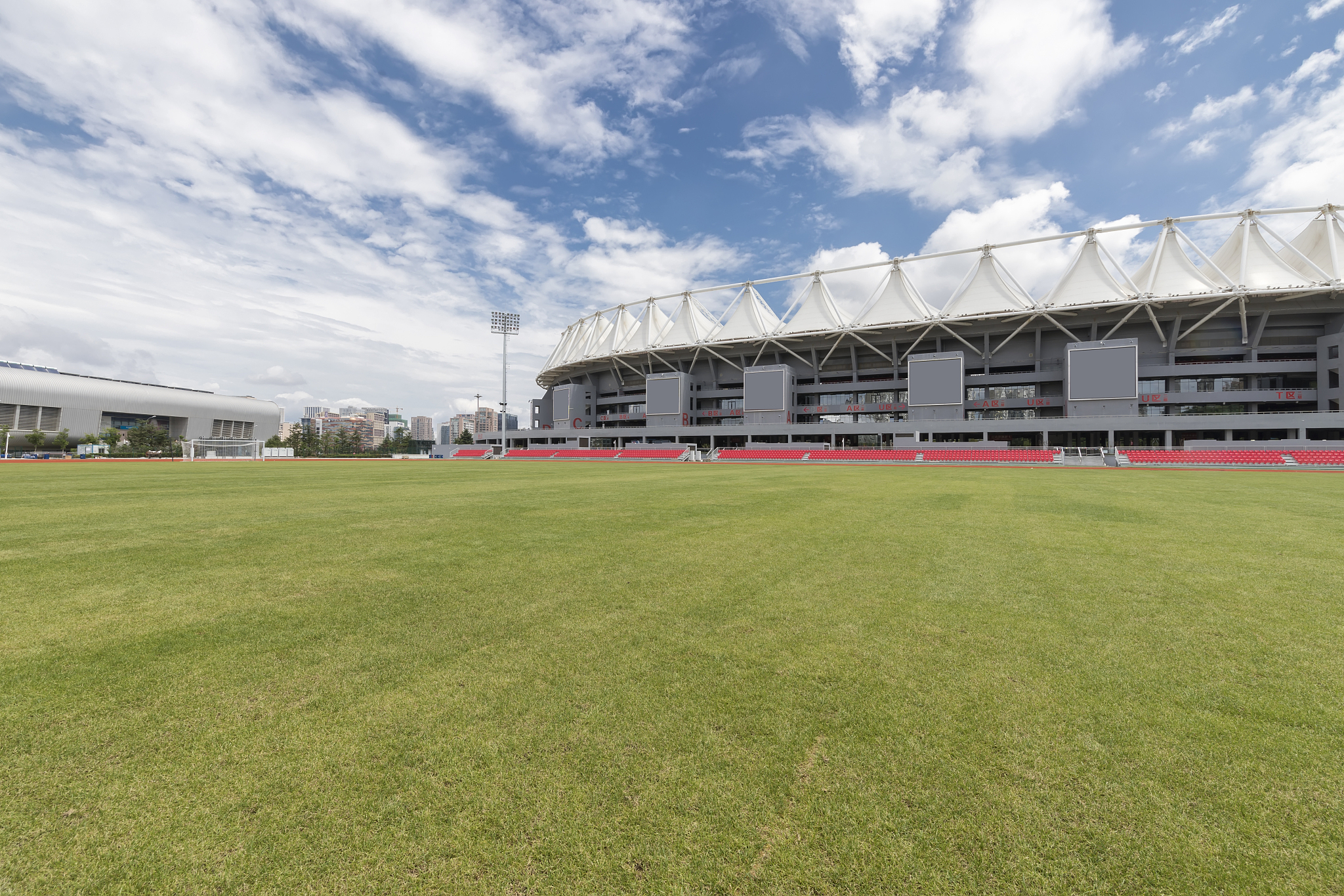 这不仅仅是数字的堆砌,更是对体育精神的一次深刻拷问