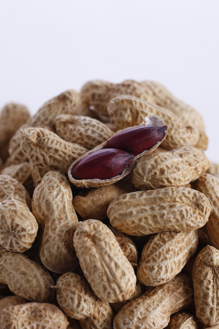 常喝养生粥,这3种食物最好别往粥里放 老两口常