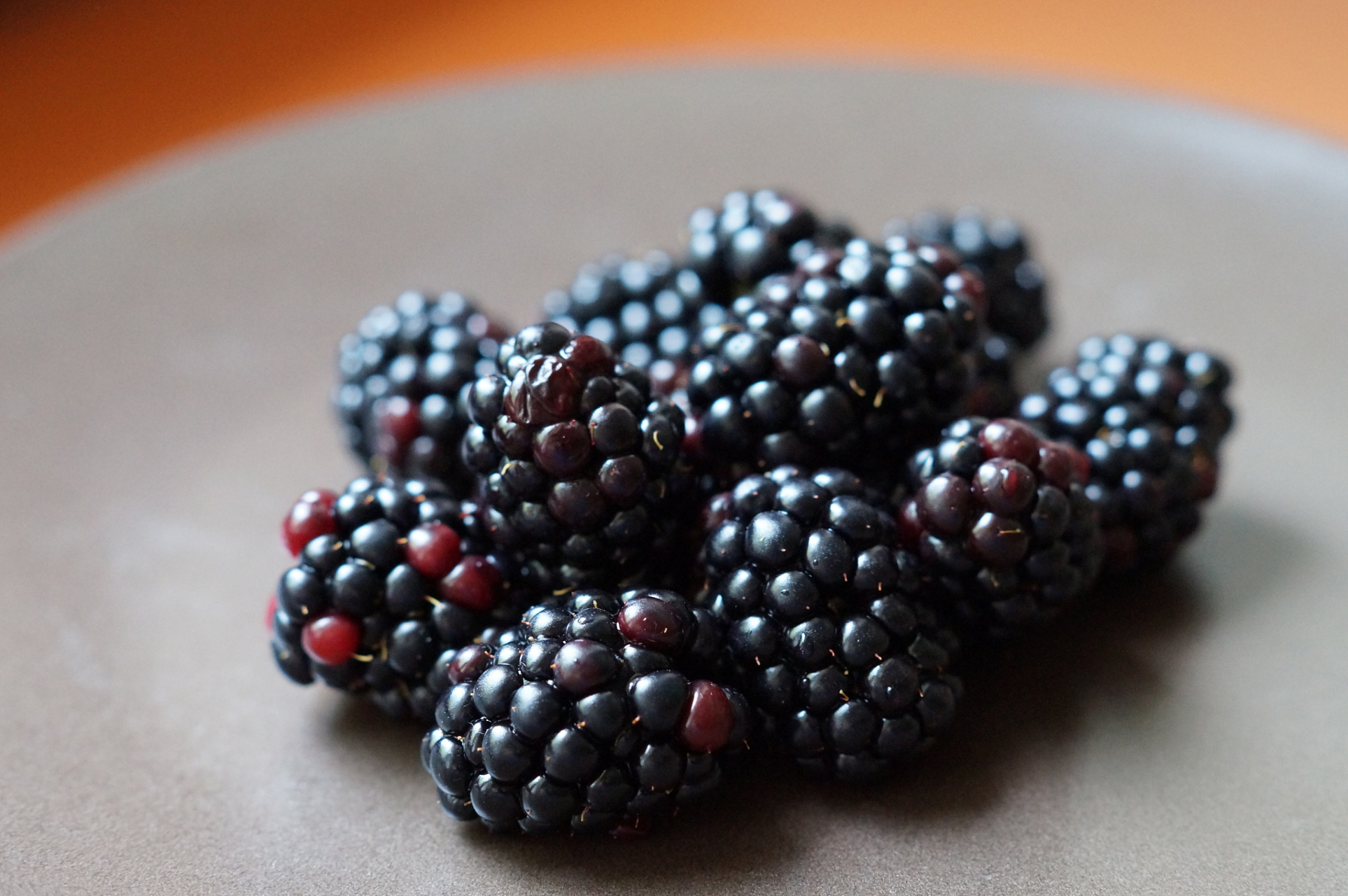 冬天的黑莓:新鲜美味,健康之选  冬天的黑莓,真的是口感和营养的双重