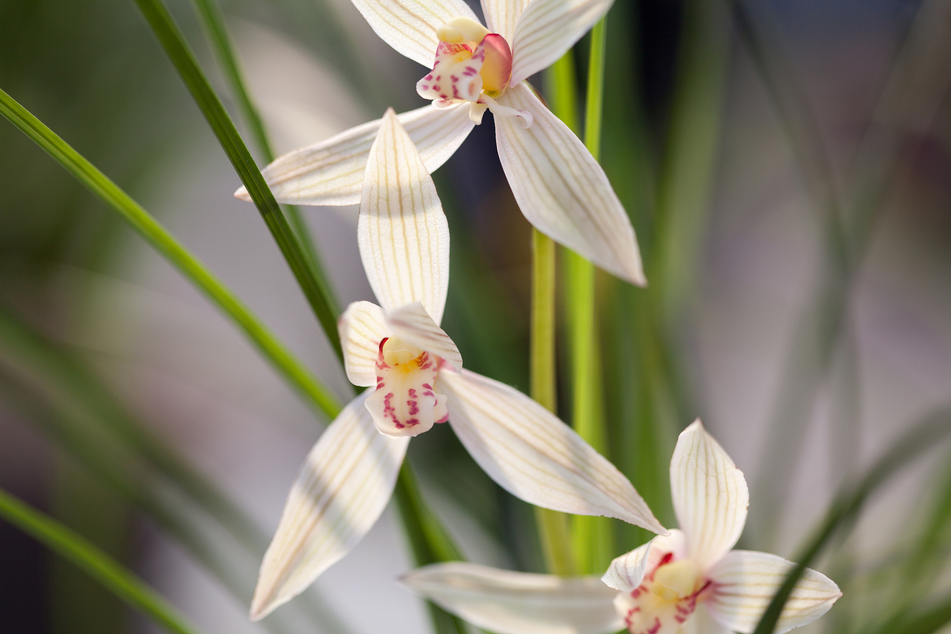 总是不分青红皂白就反驳你的人,打从心底就没把你