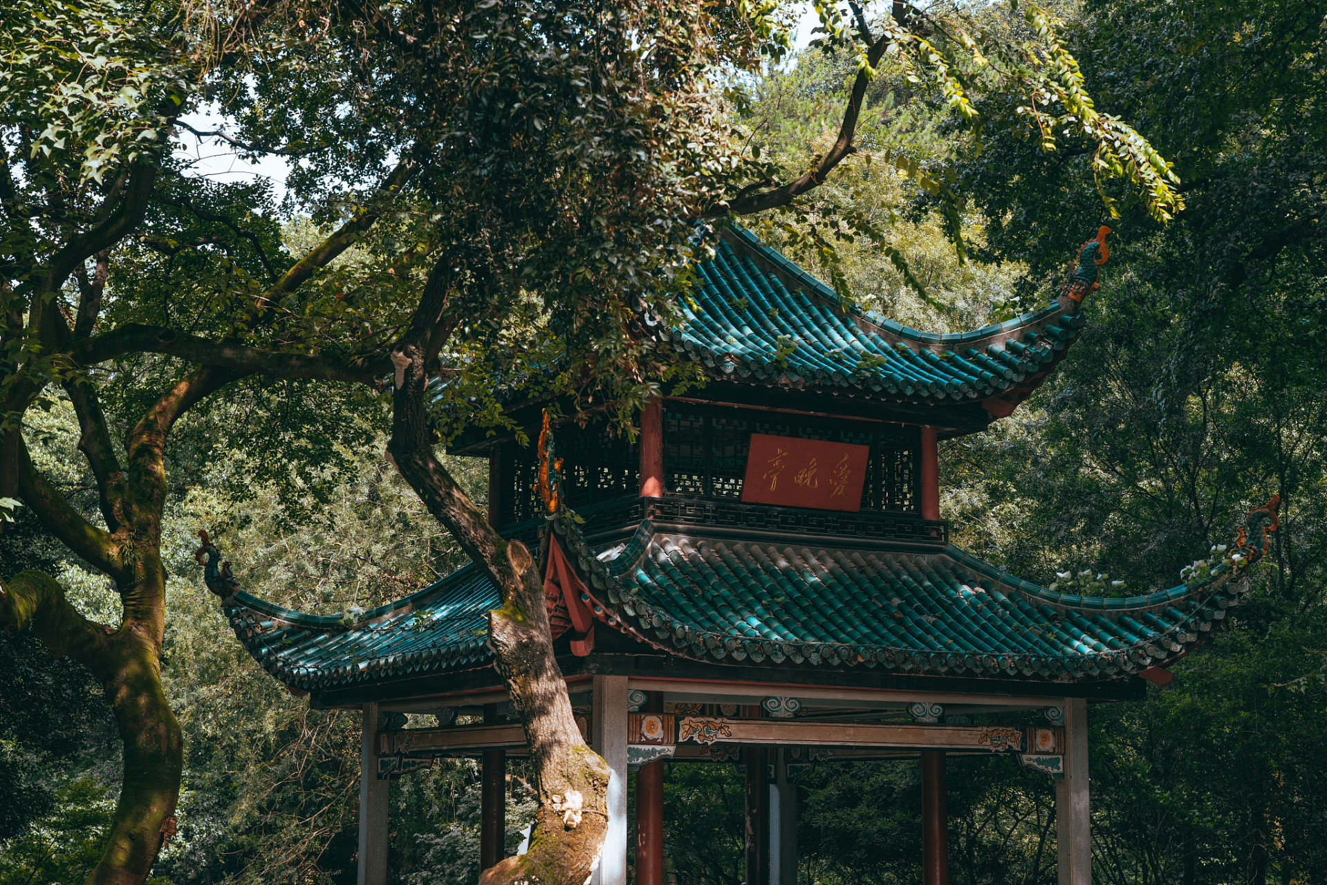 夏日湘游记# 湖南岳麓山位于湖南省长沙市的西部,是中华五岳之一.