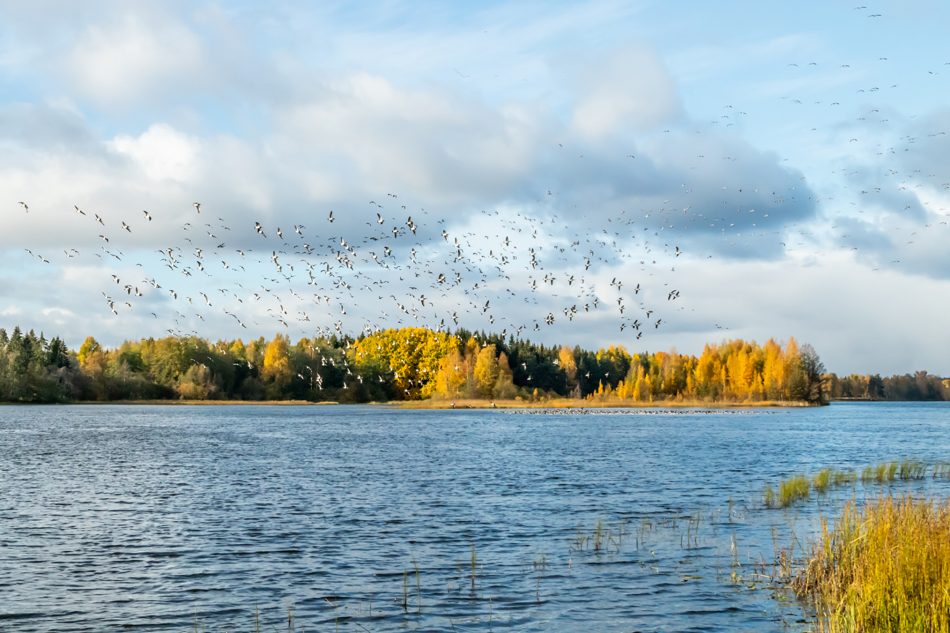 如果,人人都想避风,港湾匮乏的关系,就一定会变质,破裂,相互仇视.