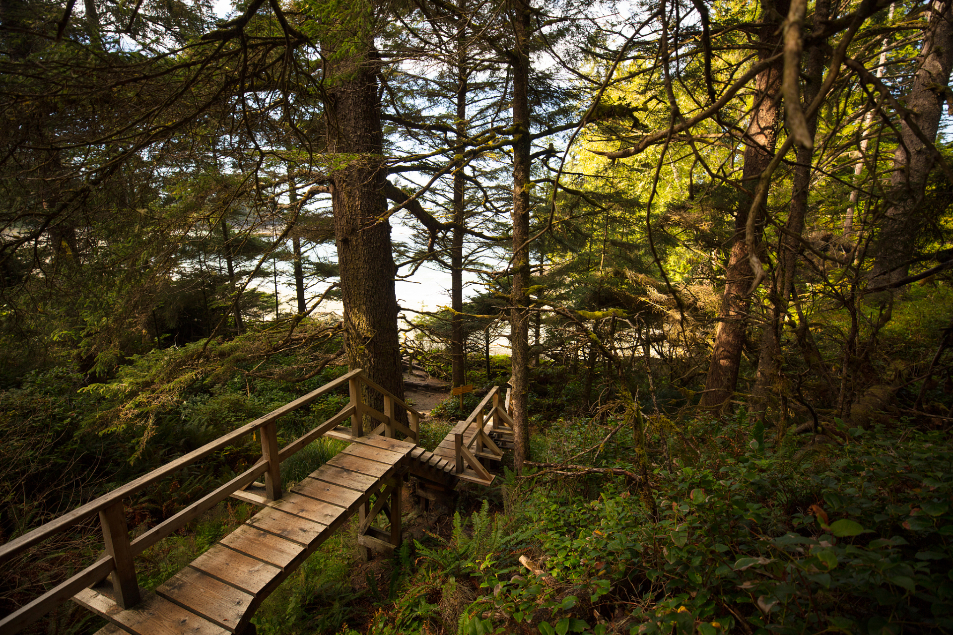 景点推|以下是一些祁东的旅游景点推荐: - **四明山国家森林公园**
