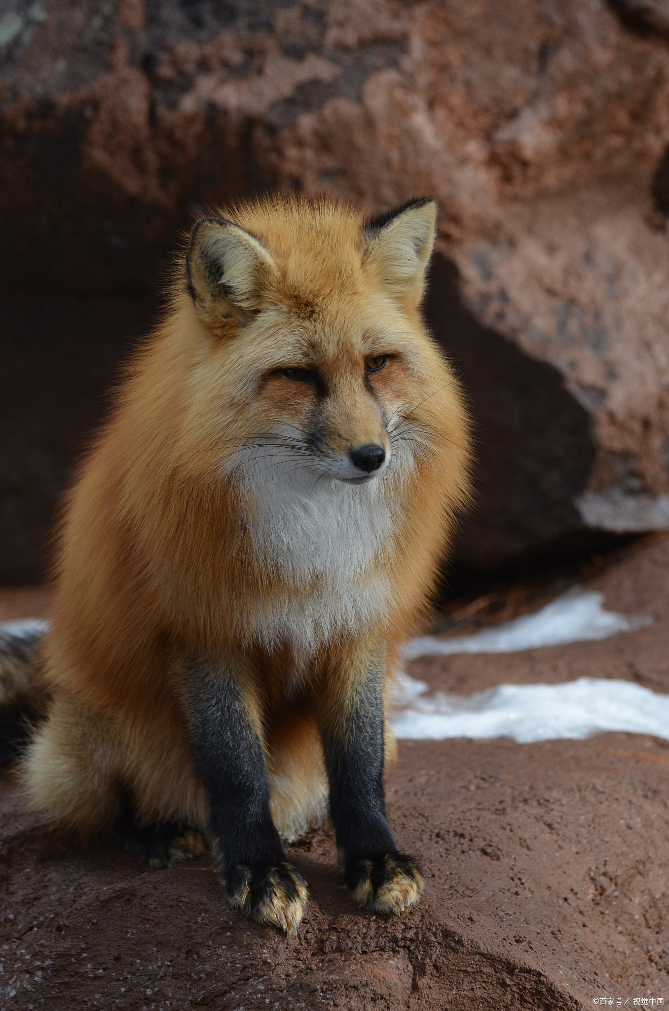 1356_2048竖版 竖屏