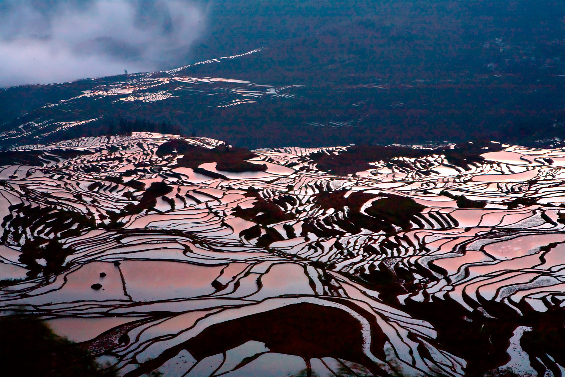 冬季到红河必去的一个景点是元阳梯田.