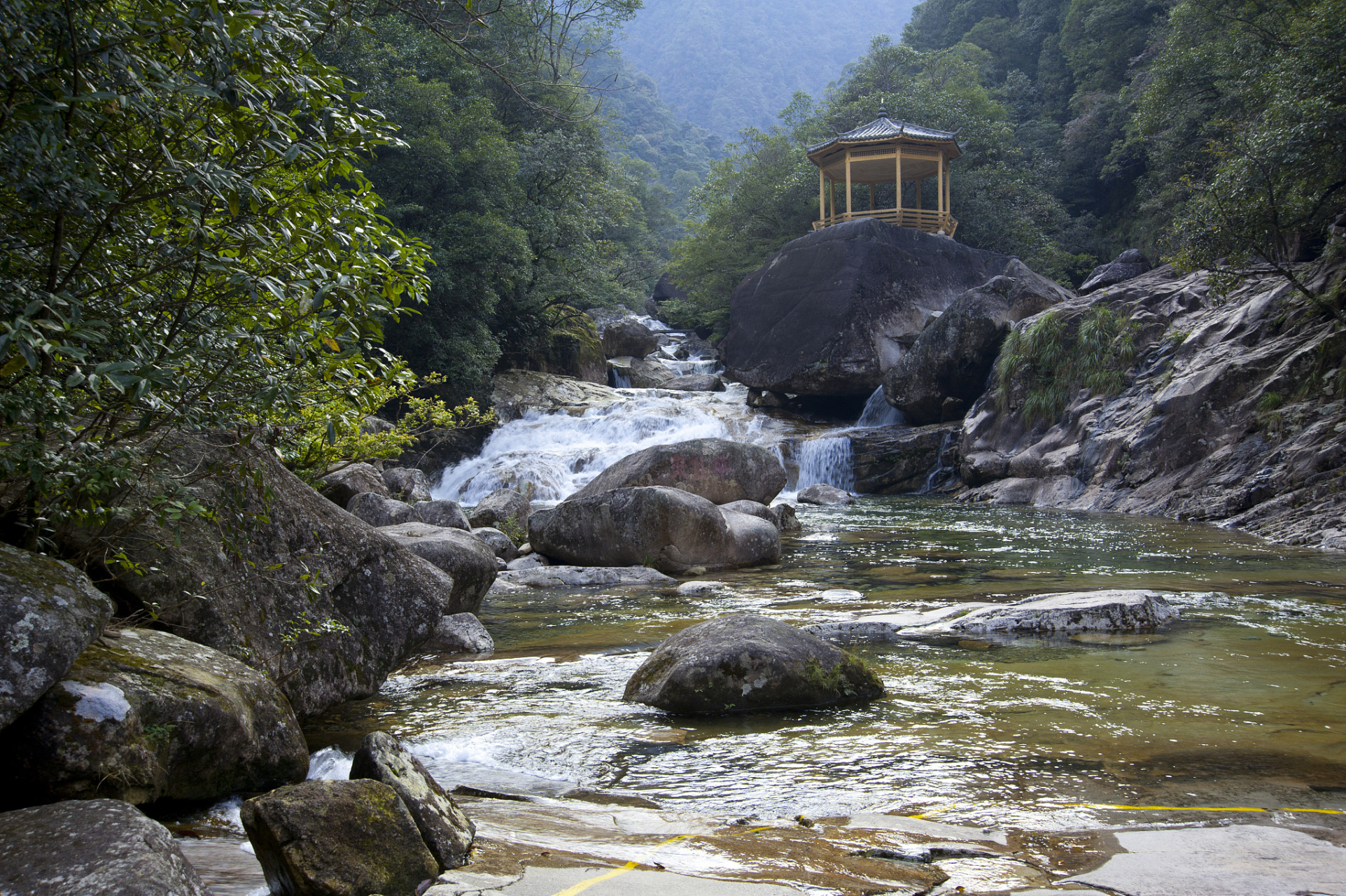 四川省青川县的唐家河自然保护区,拥有得天独厚的地理环境和丰富的