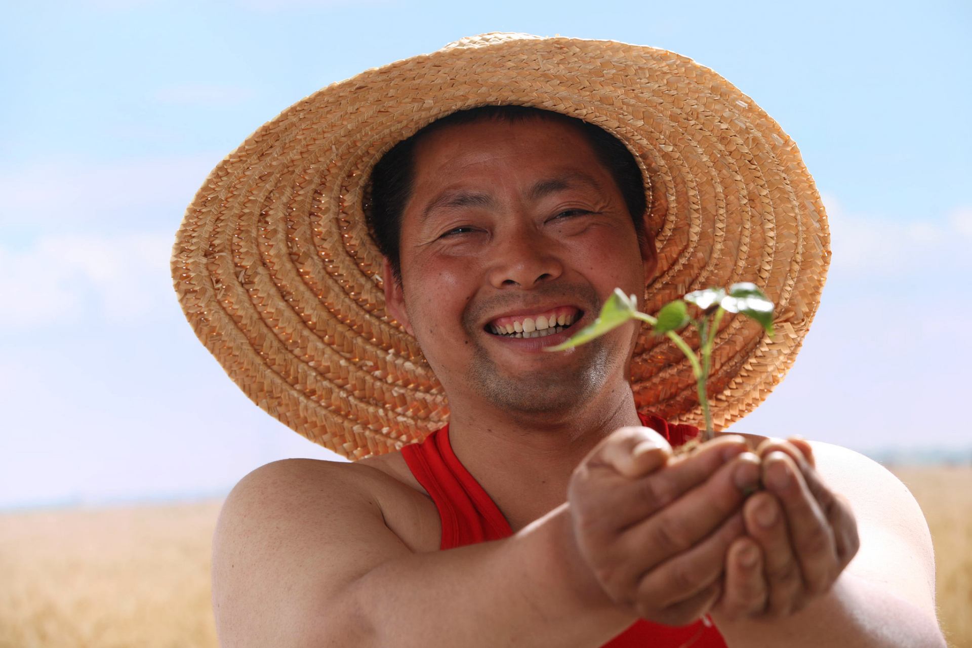 农民到底有没有"闹"?有没有吃"白食"?