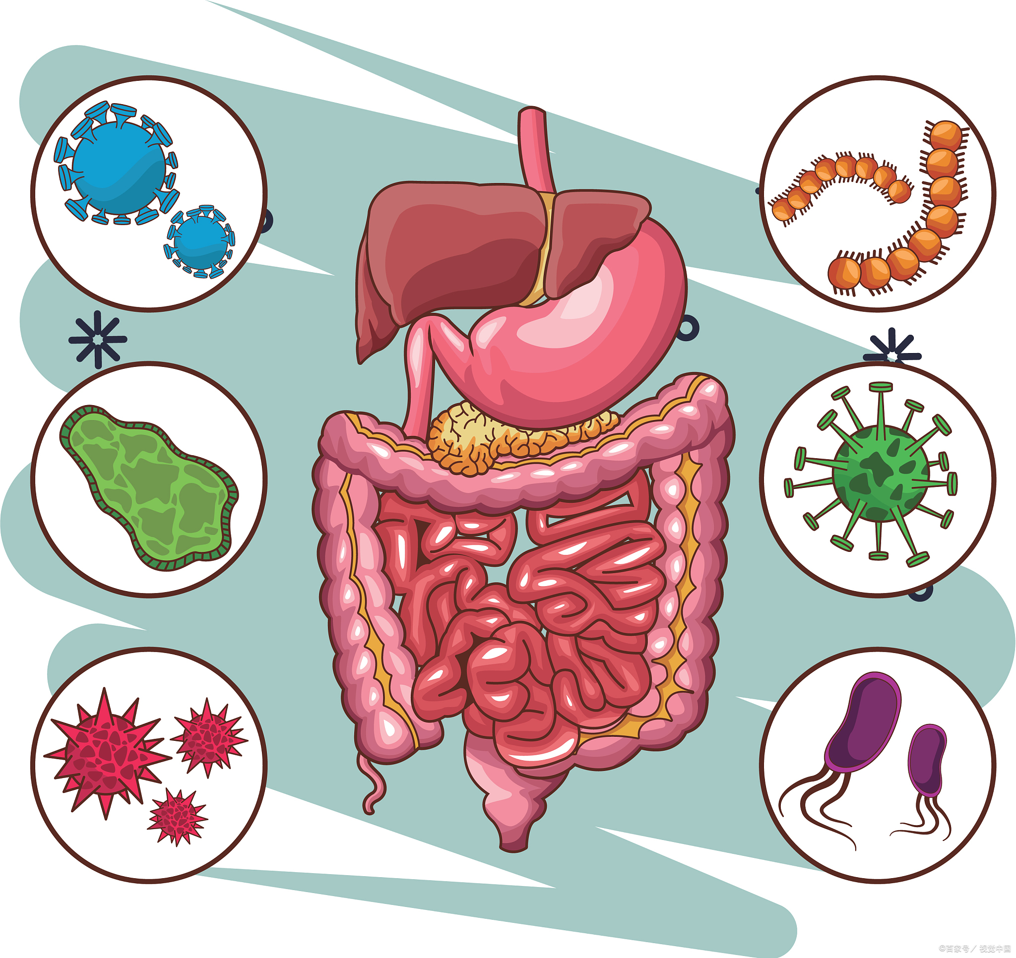 胃肠图卡通图片