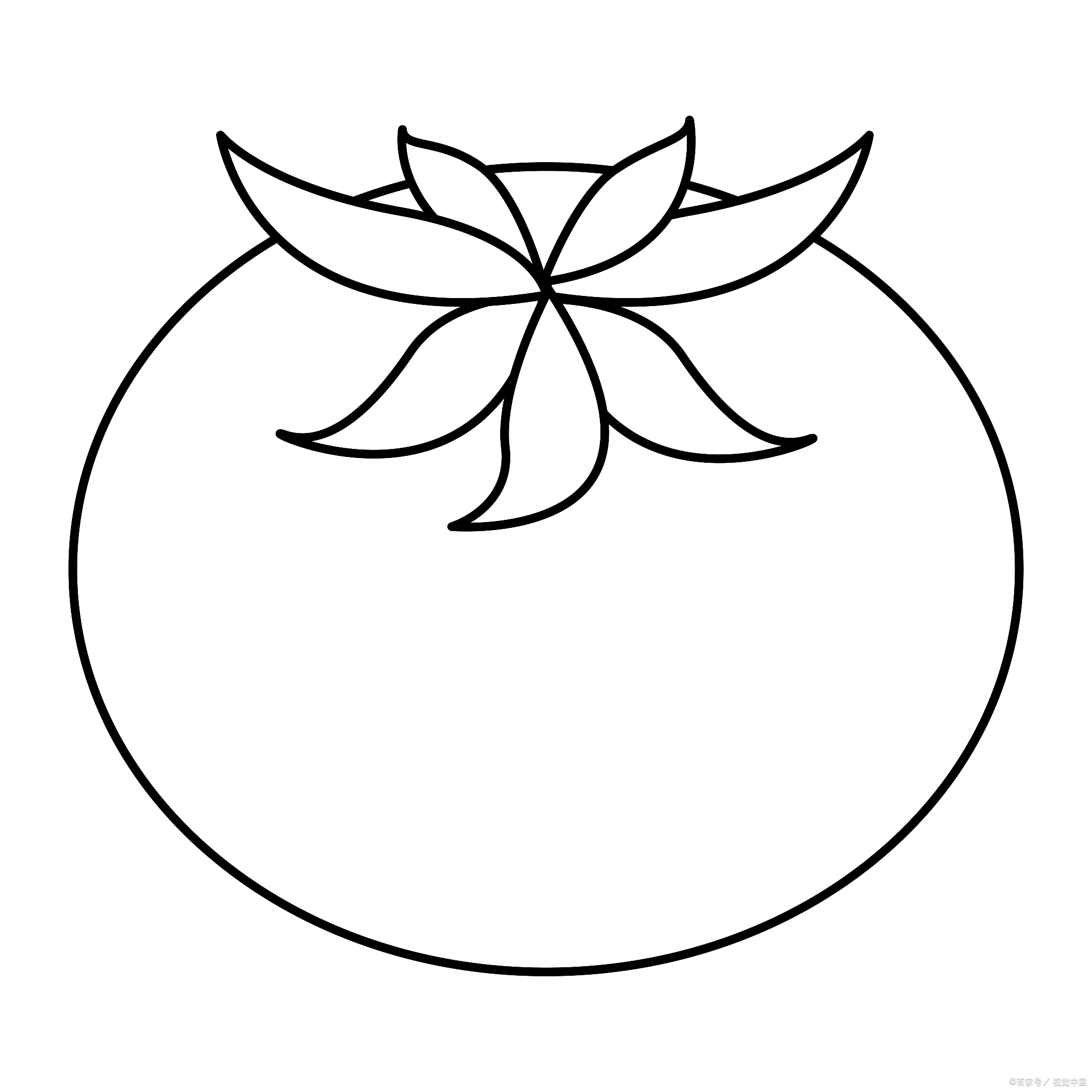 画西红柿简笔画其实超简单的,咱们一步步来,保证你轻松上手,画出又红